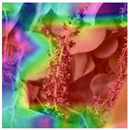 Animals 15 03181 i008 Animals 15 03181 i008