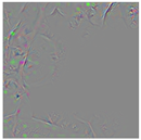 Animals 15 03181 i009 Animals 15 03181 i009