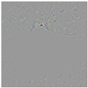 Animals 15 03181 i015 Animals 15 03181 i015