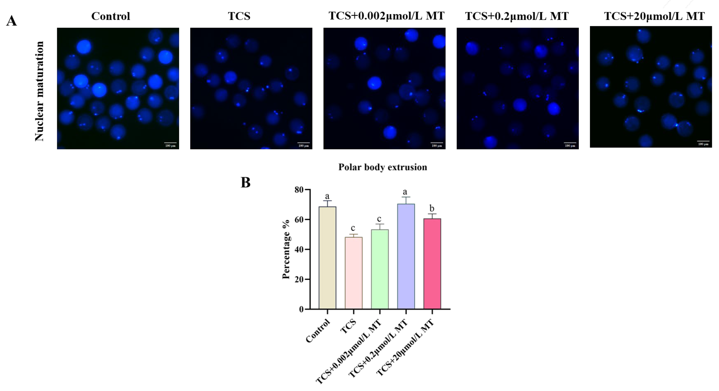 Animals 15 03193 g001 Animals 15 03193 g001