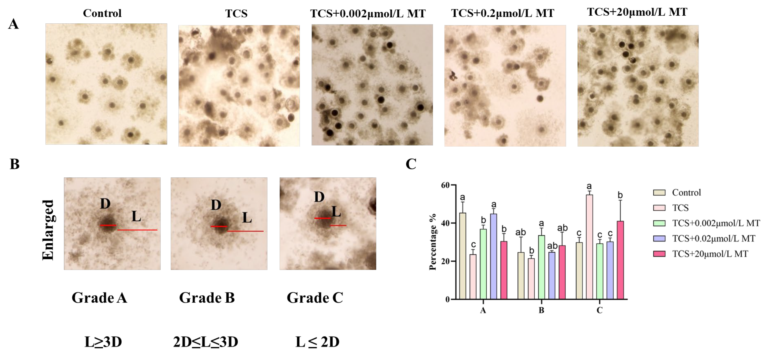 Animals 15 03193 g002 Animals 15 03193 g002