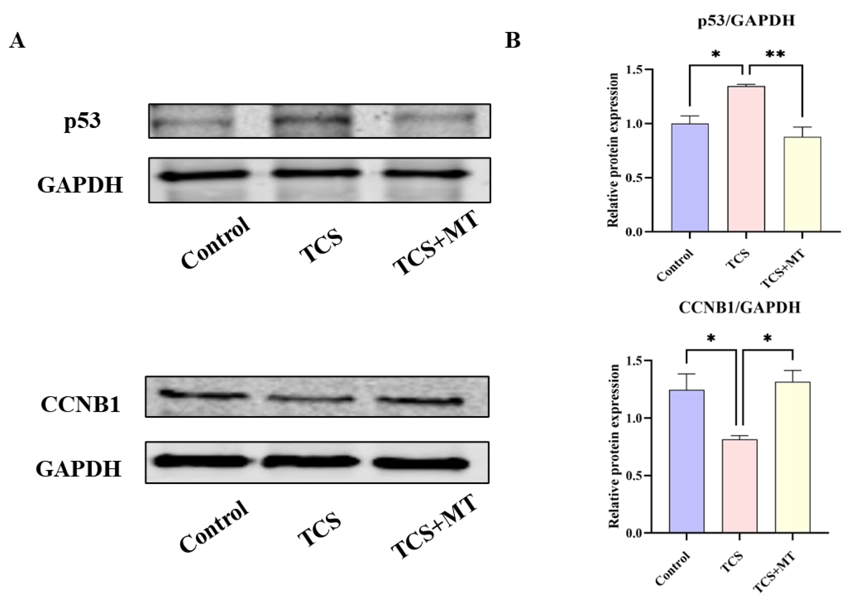 Animals 15 03193 g005 Animals 15 03193 g005
