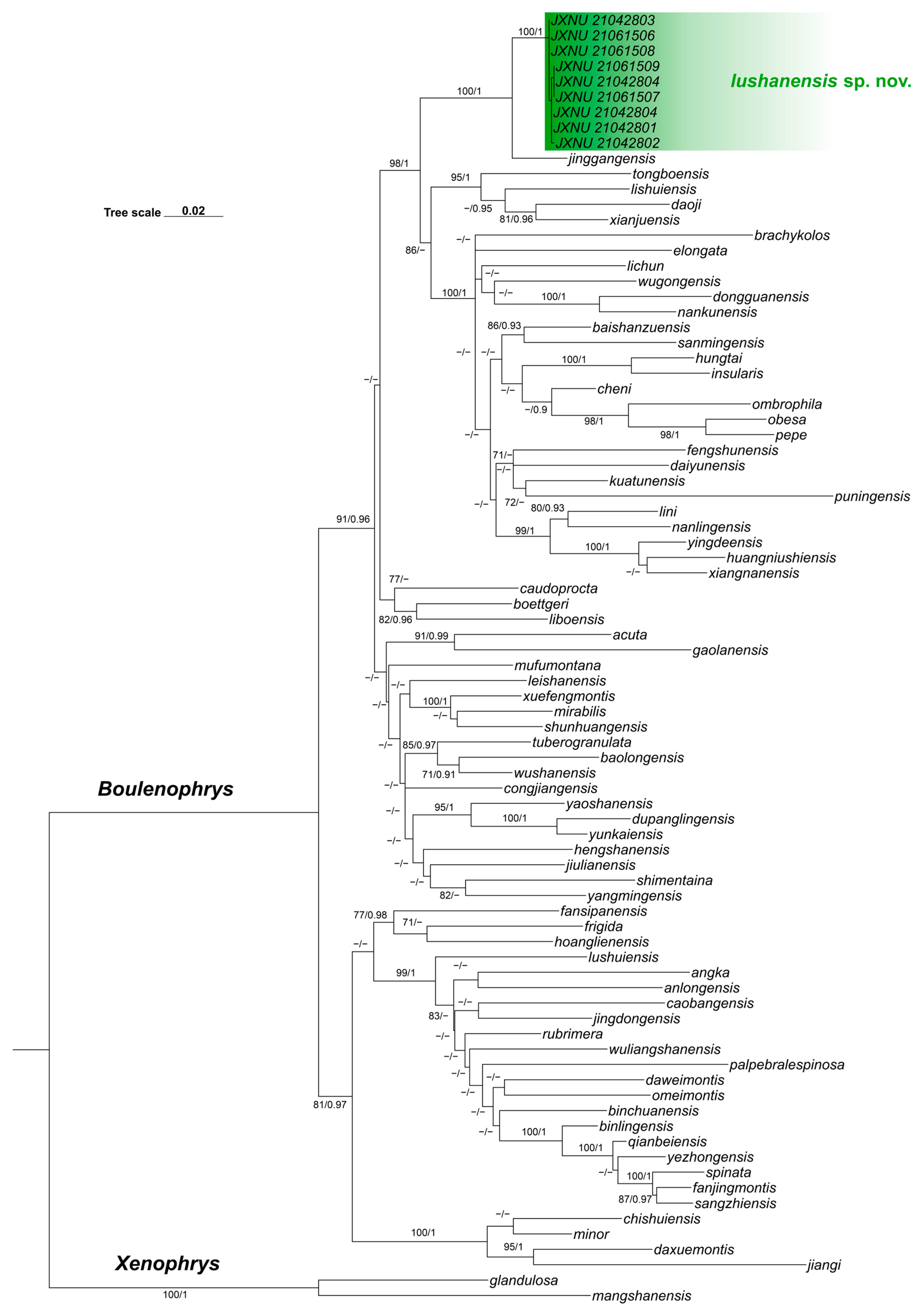 Animals 15 03197 g002 Animals 15 03197 g002