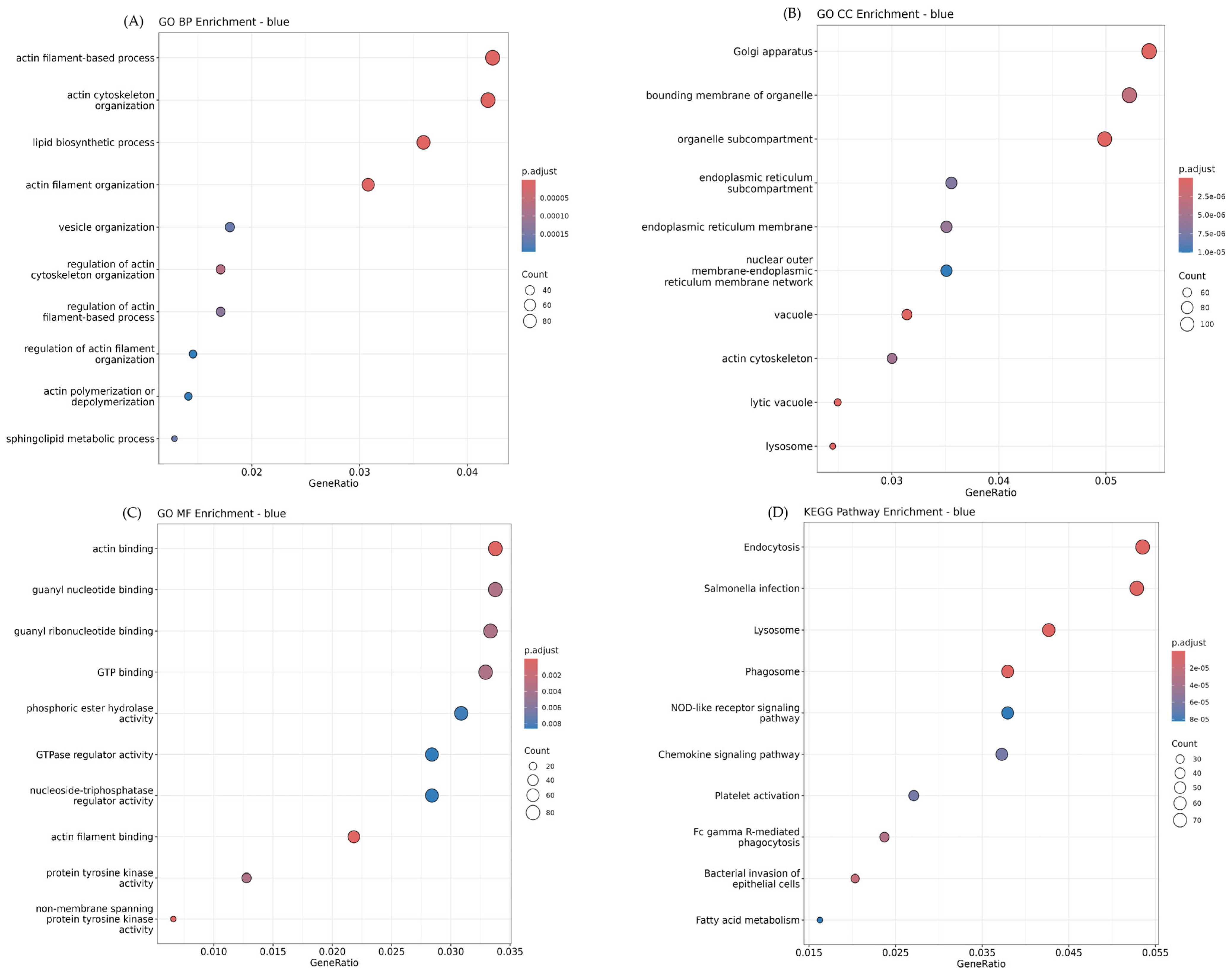 Animals 15 03201 g004 Animals 15 03201 g004