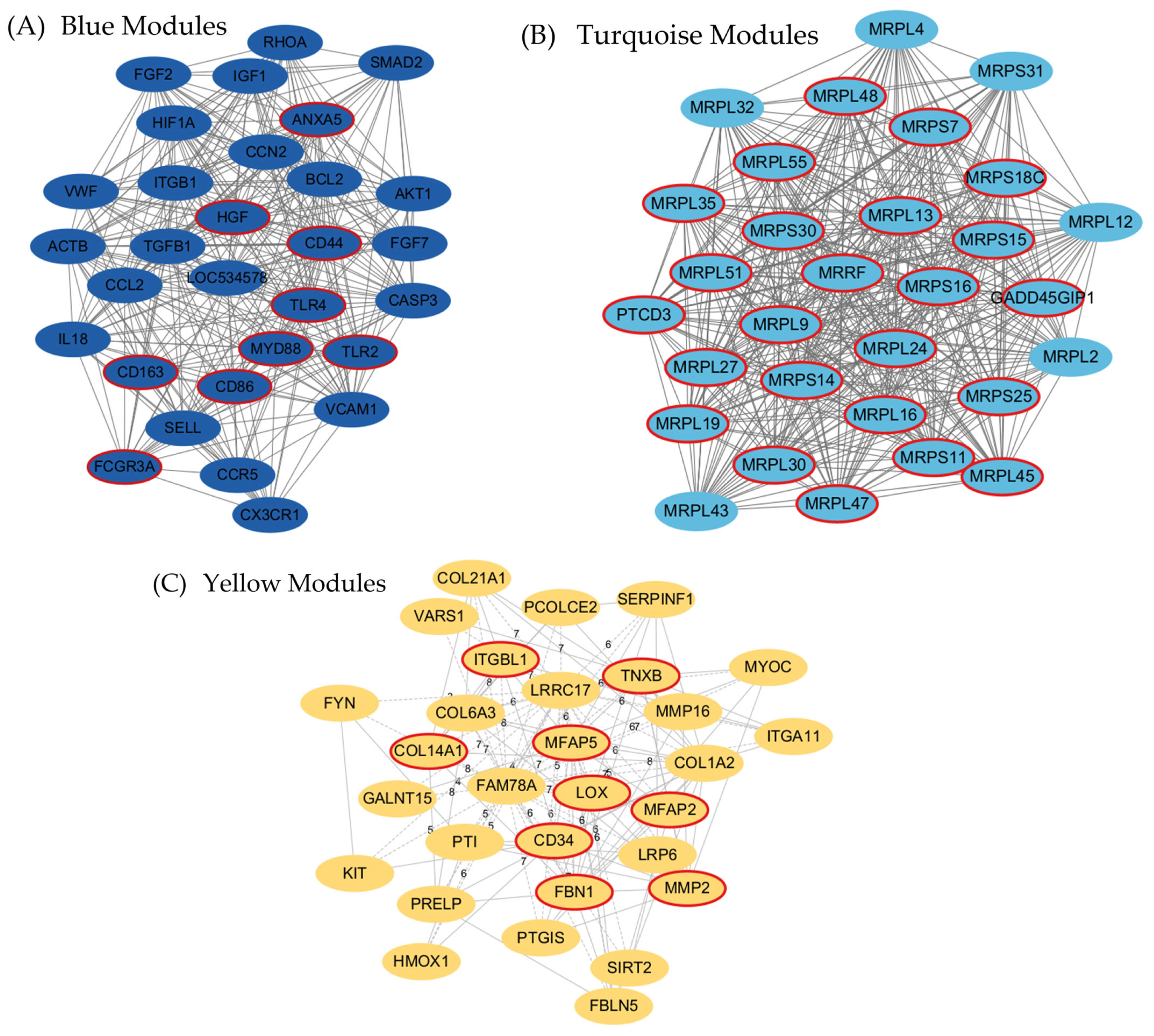 Animals 15 03201 g006 Animals 15 03201 g006