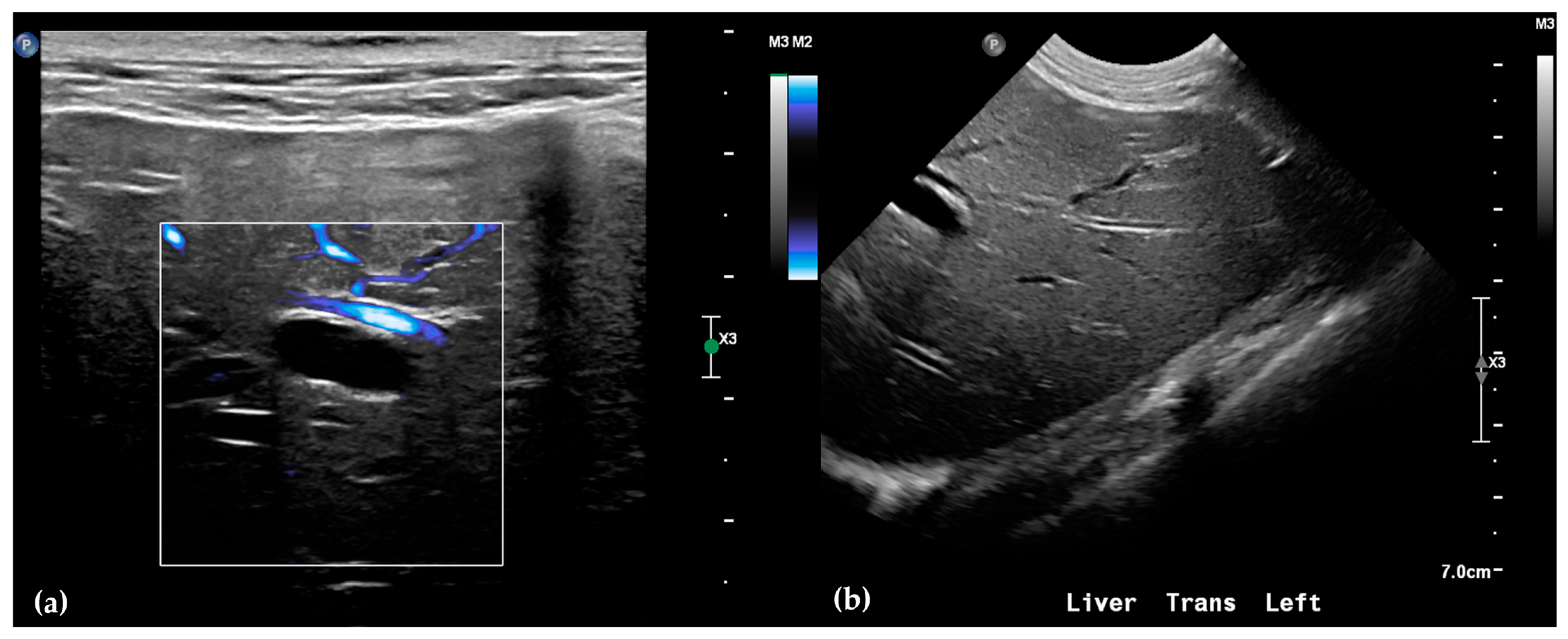 Animals 15 03213 g002