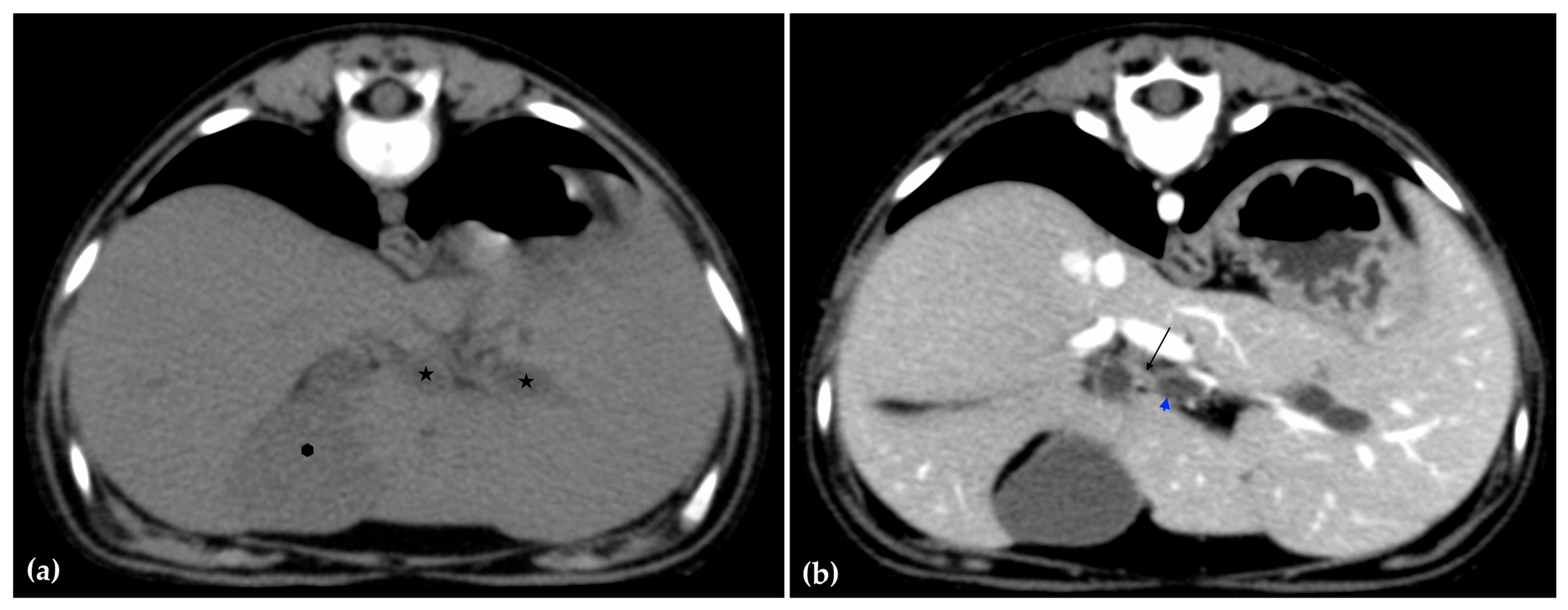 Animals 15 03213 g003