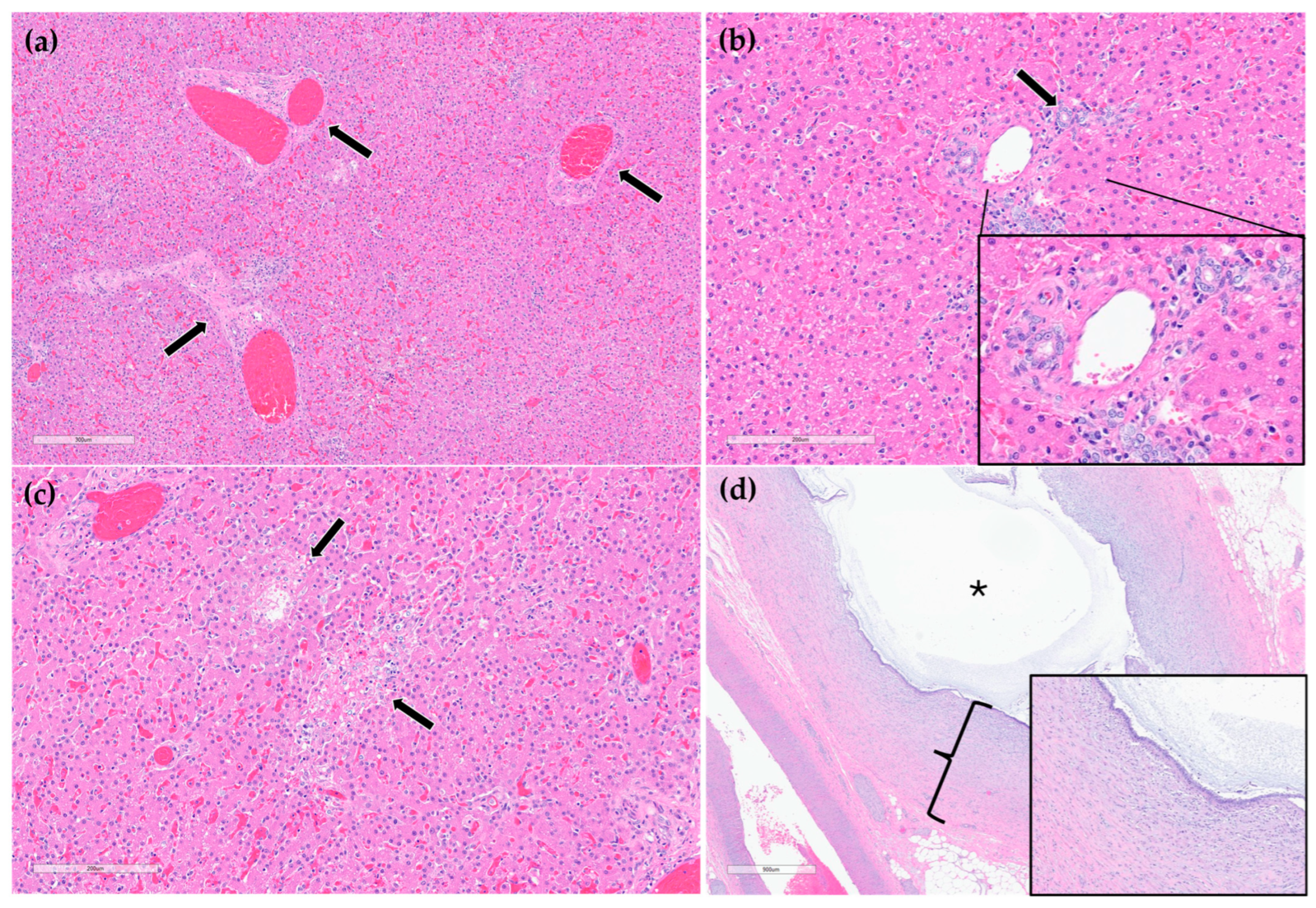 Animals 15 03213 g006