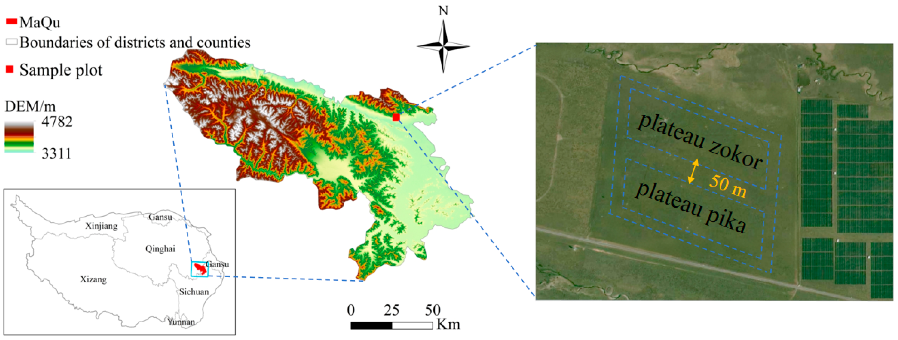 Animals 15 03216 g001