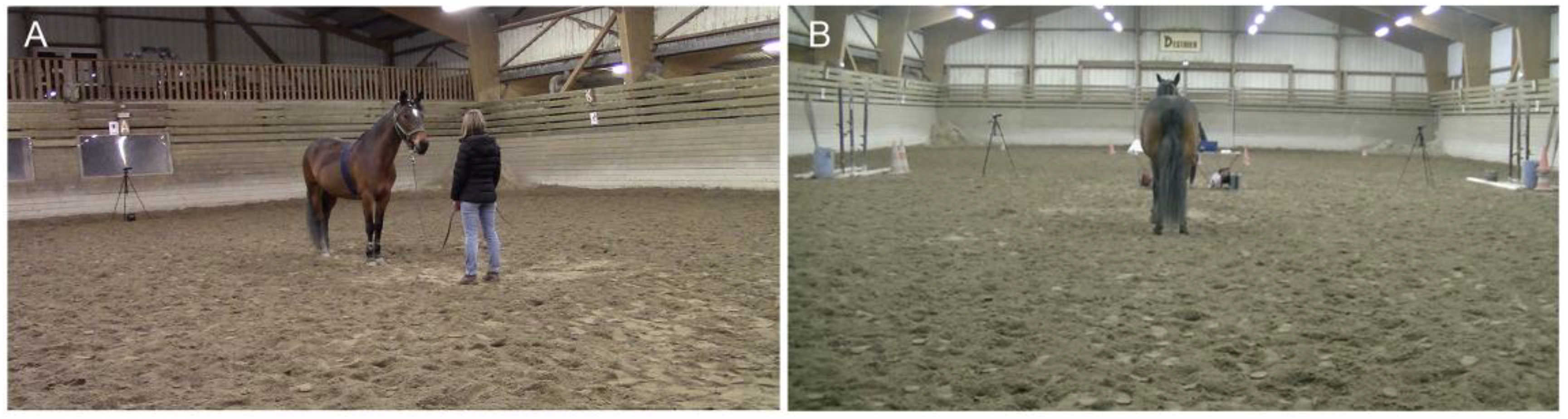 Animals 15 03217 g001