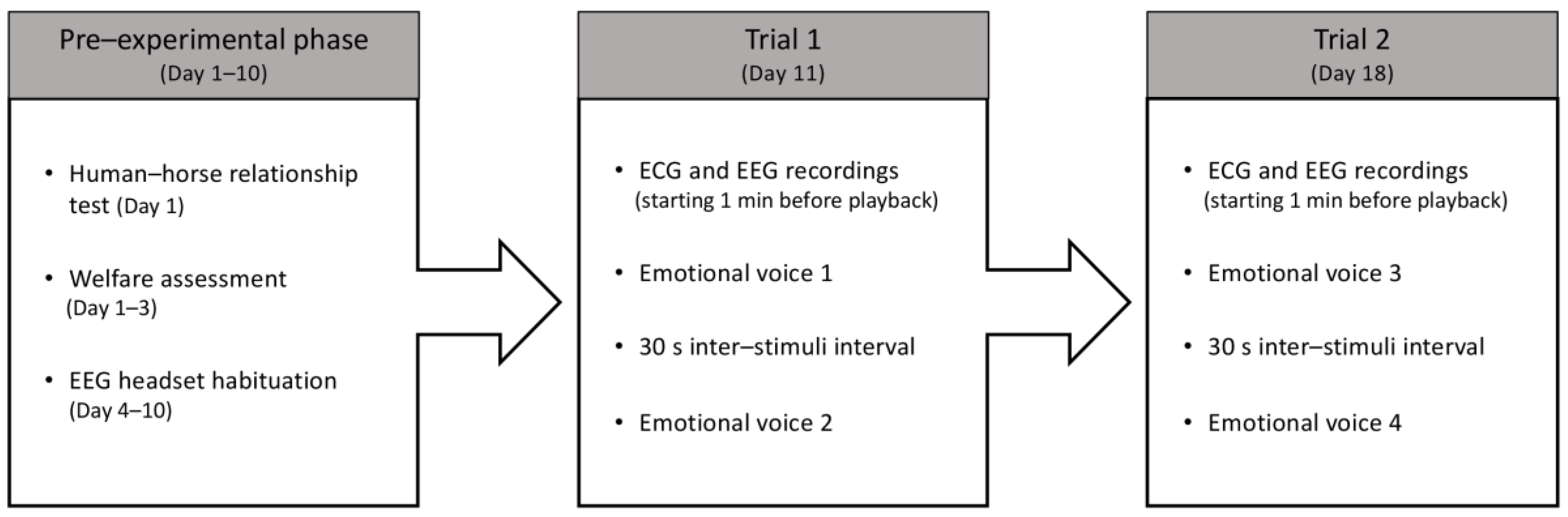 Animals 15 03217 g002
