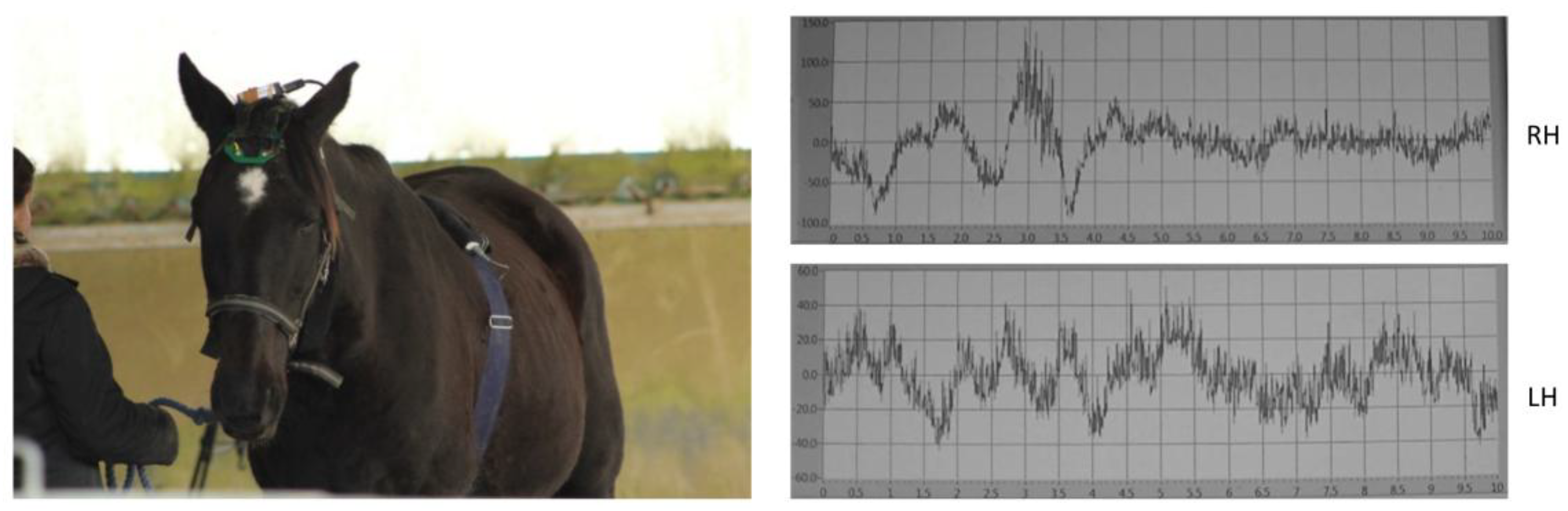 Animals 15 03217 g003