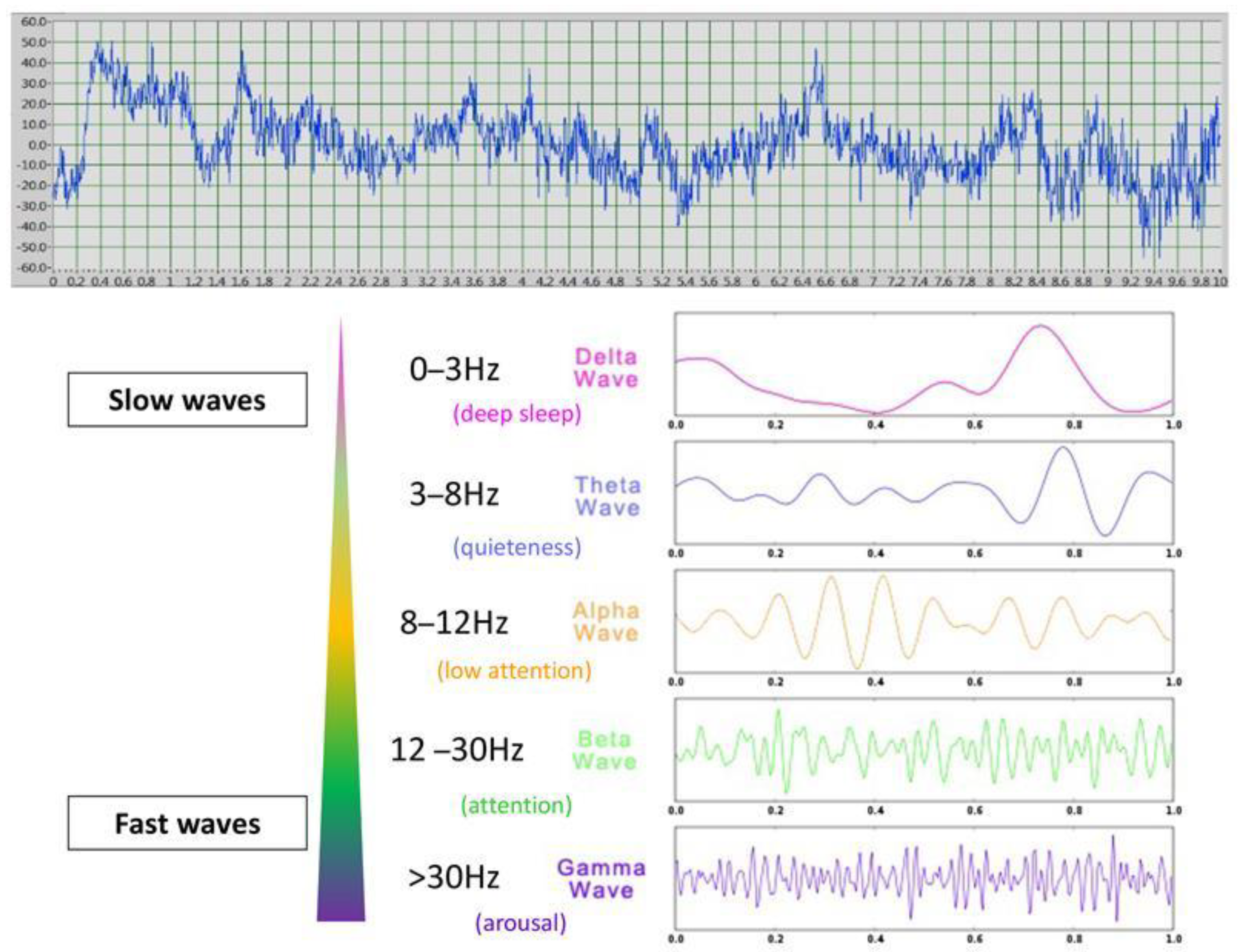 Animals 15 03217 g004