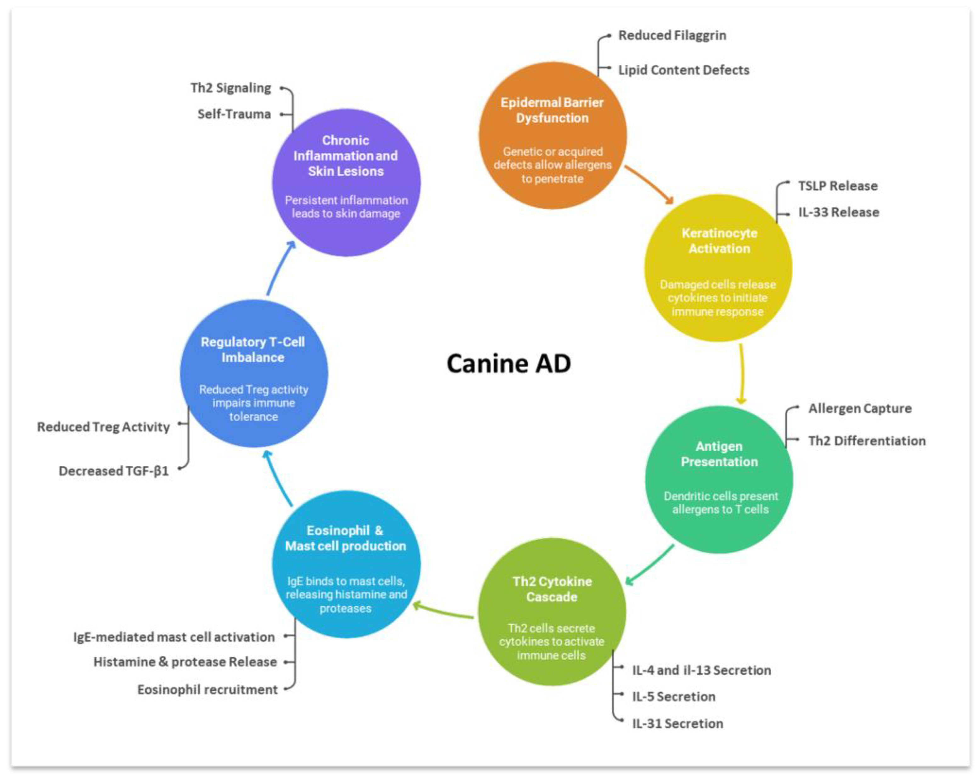 Animals 15 03219 g001 Animals 15 03219 g001