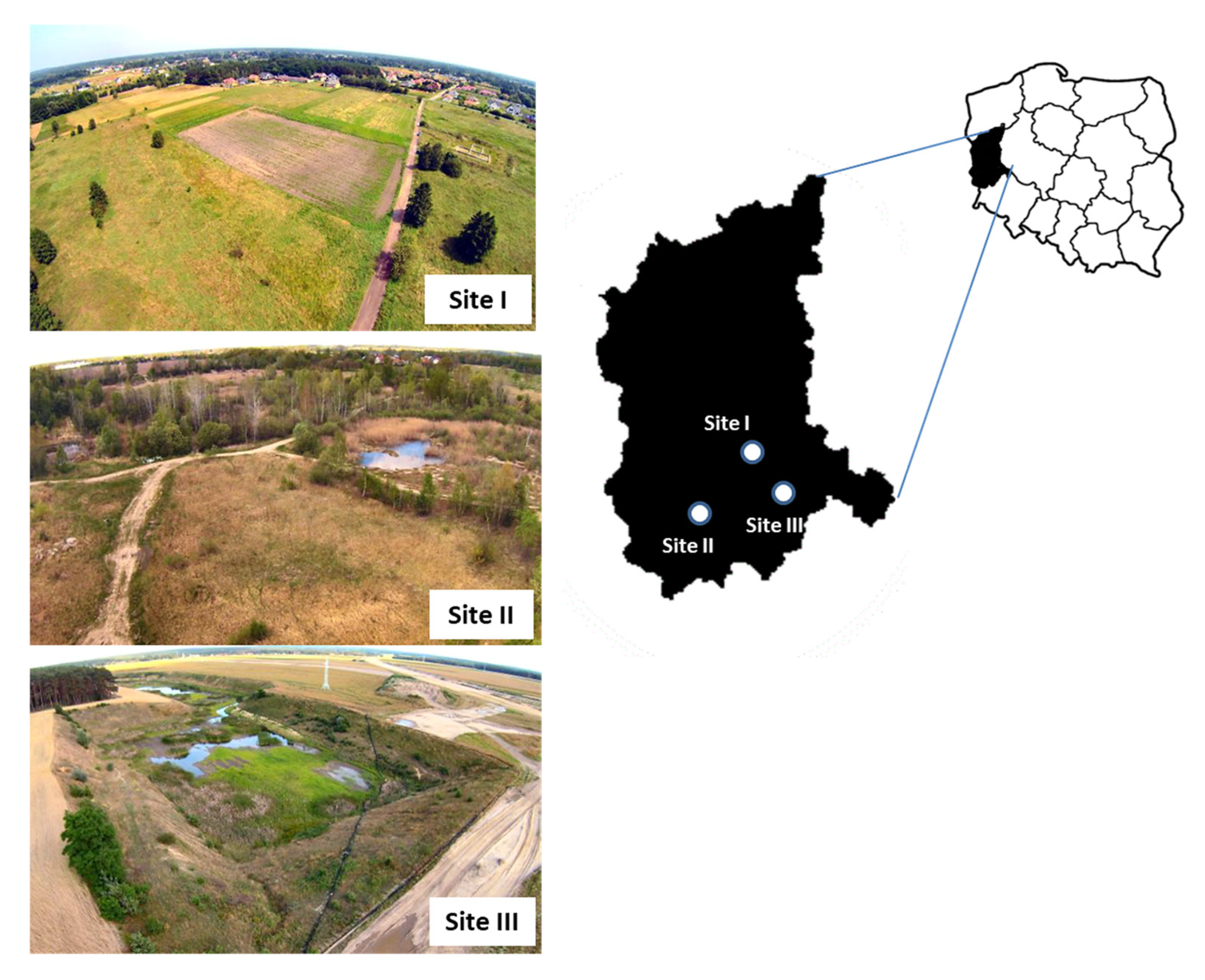 Animals 15 03220 g001 Animals 15 03220 g001