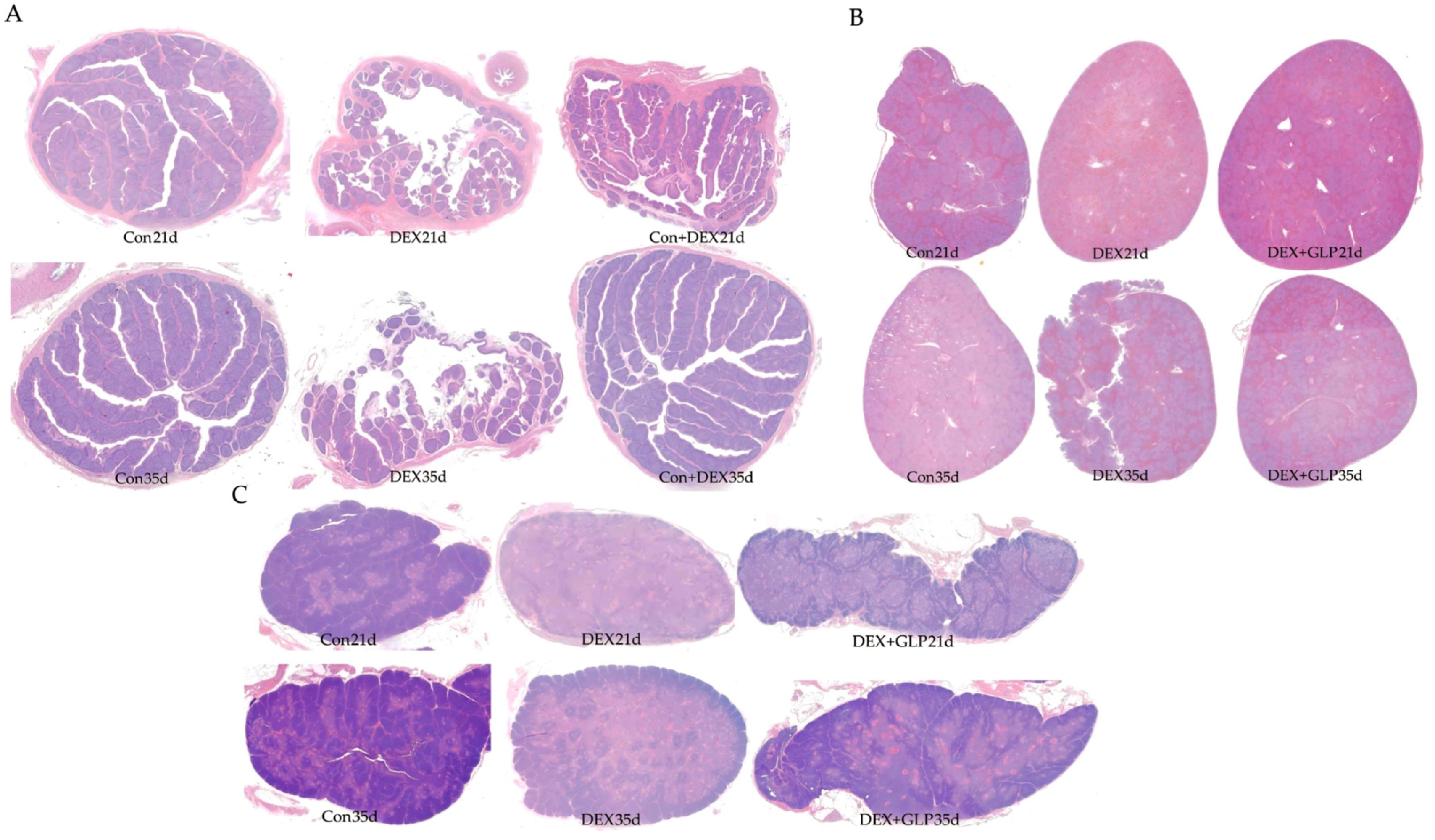 Animals 15 03226 g002 Animals 15 03226 g002