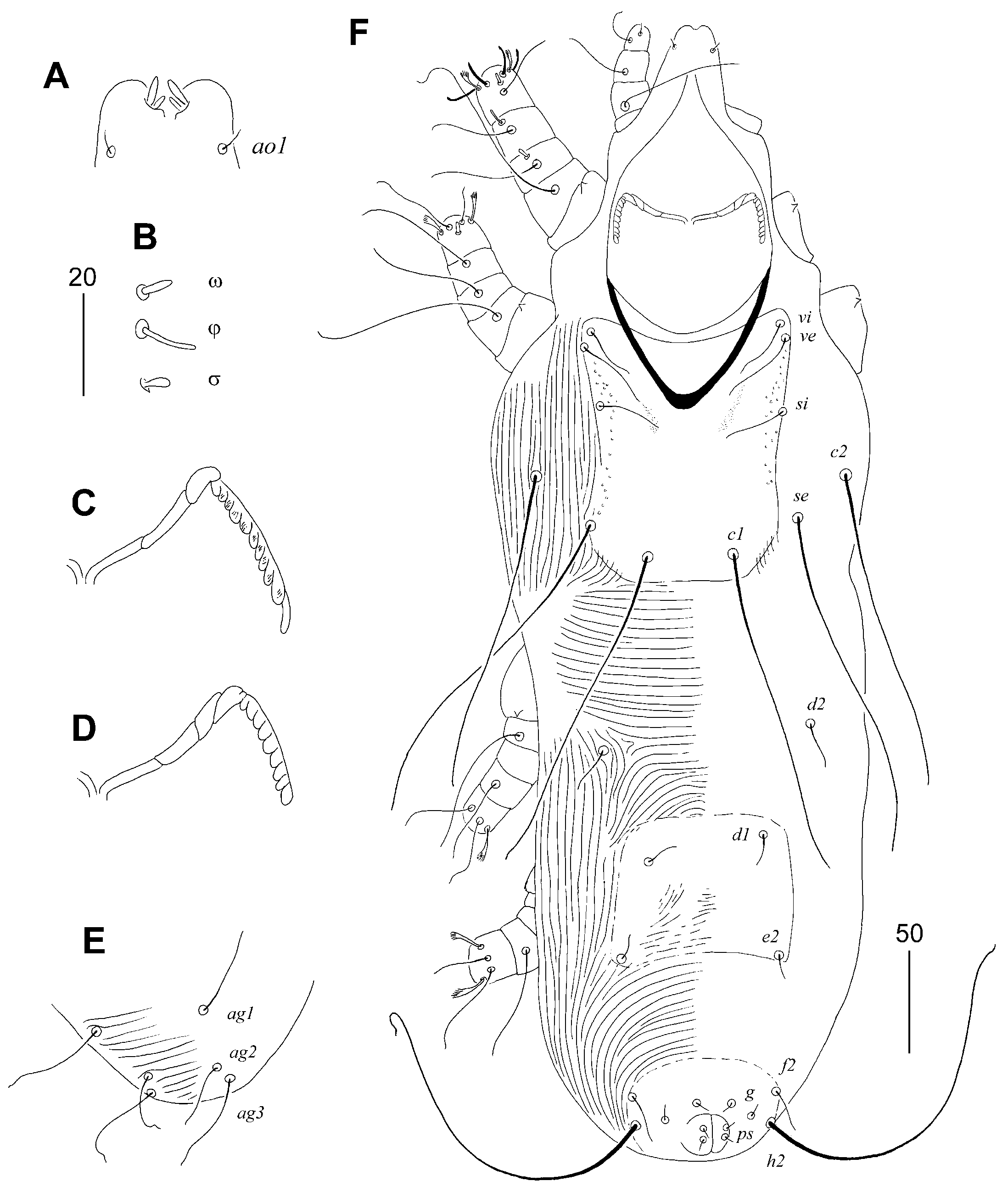 Animals 15 03227 g002 Animals 15 03227 g002