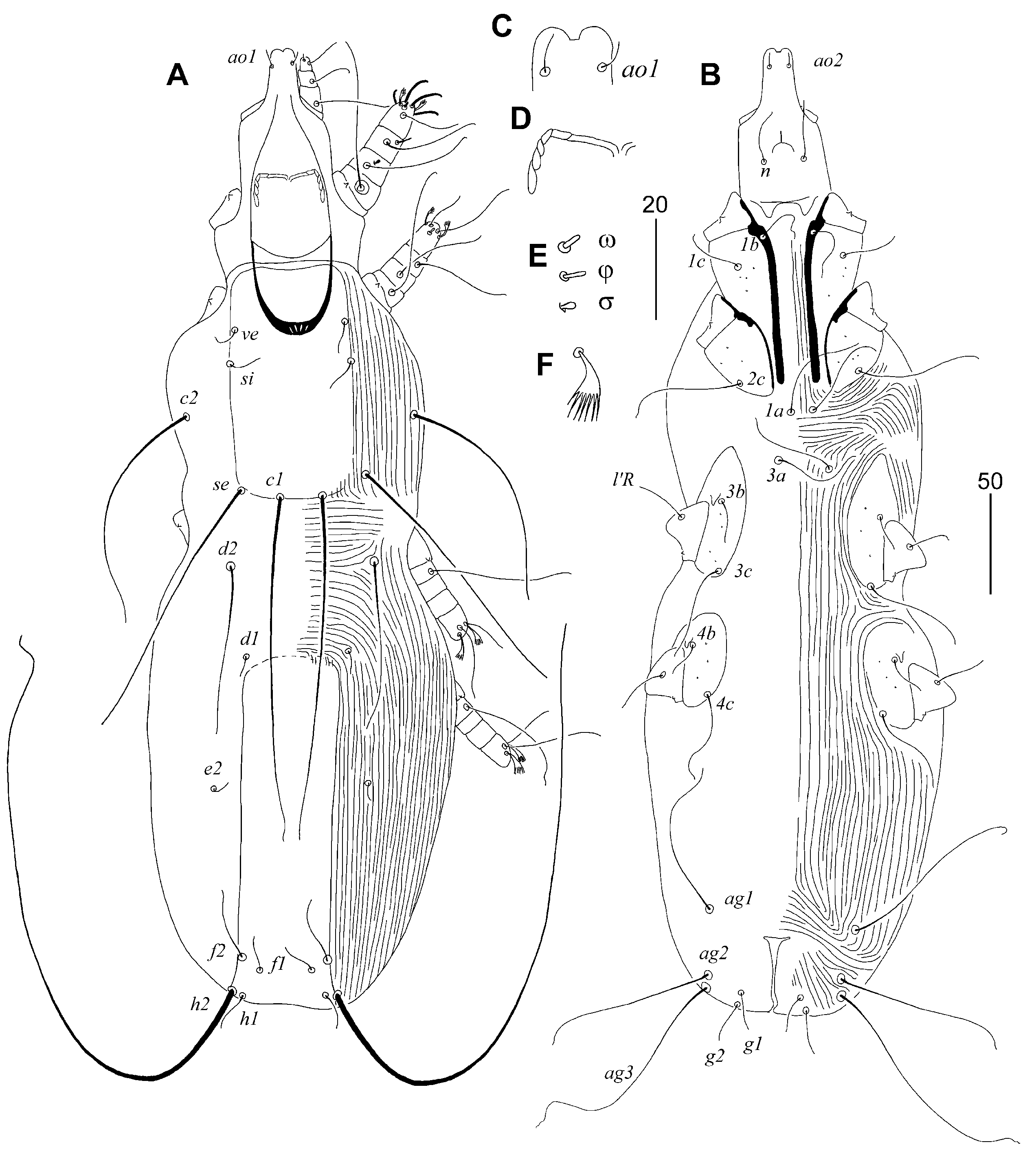 Animals 15 03227 g003 Animals 15 03227 g003