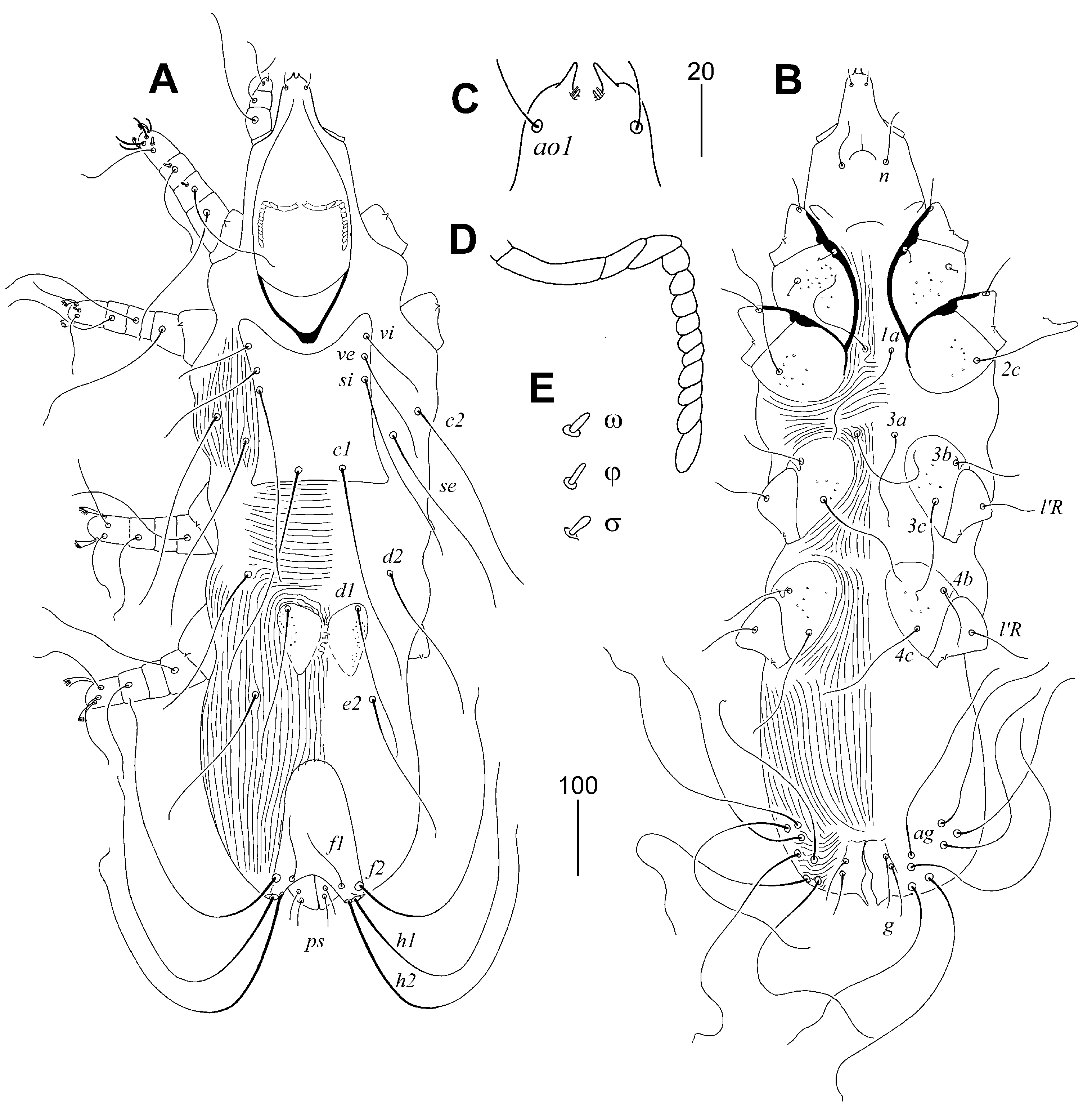 Animals 15 03227 g004 Animals 15 03227 g004