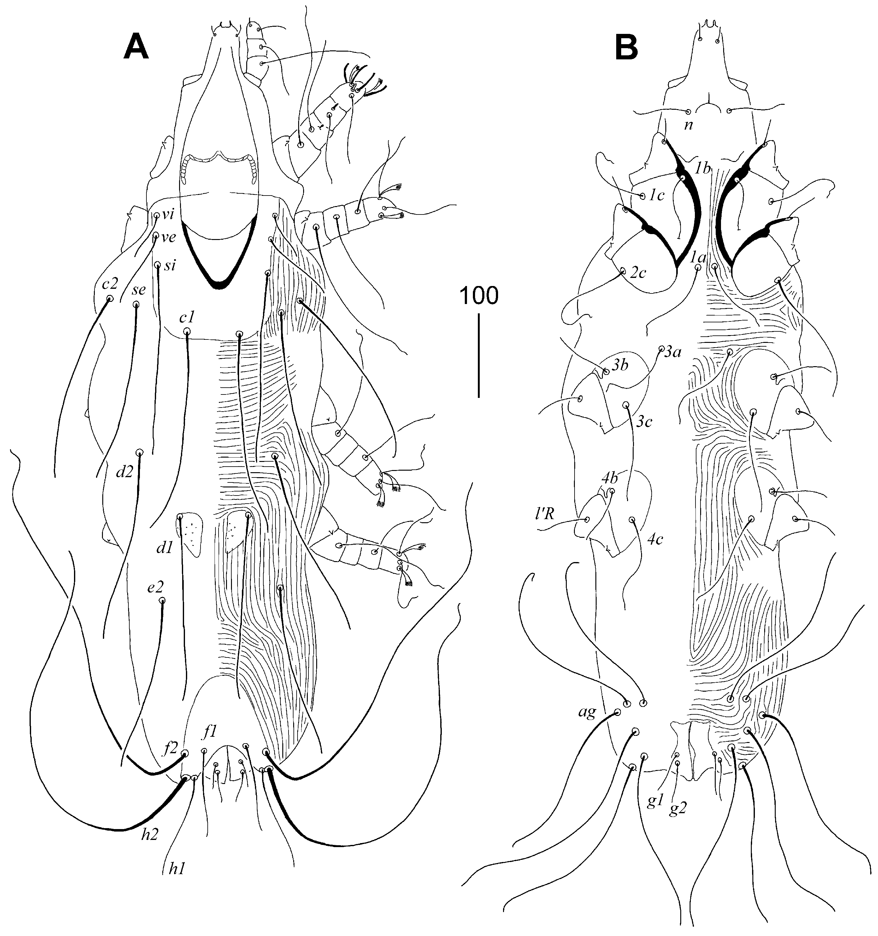 Animals 15 03227 g005 Animals 15 03227 g005