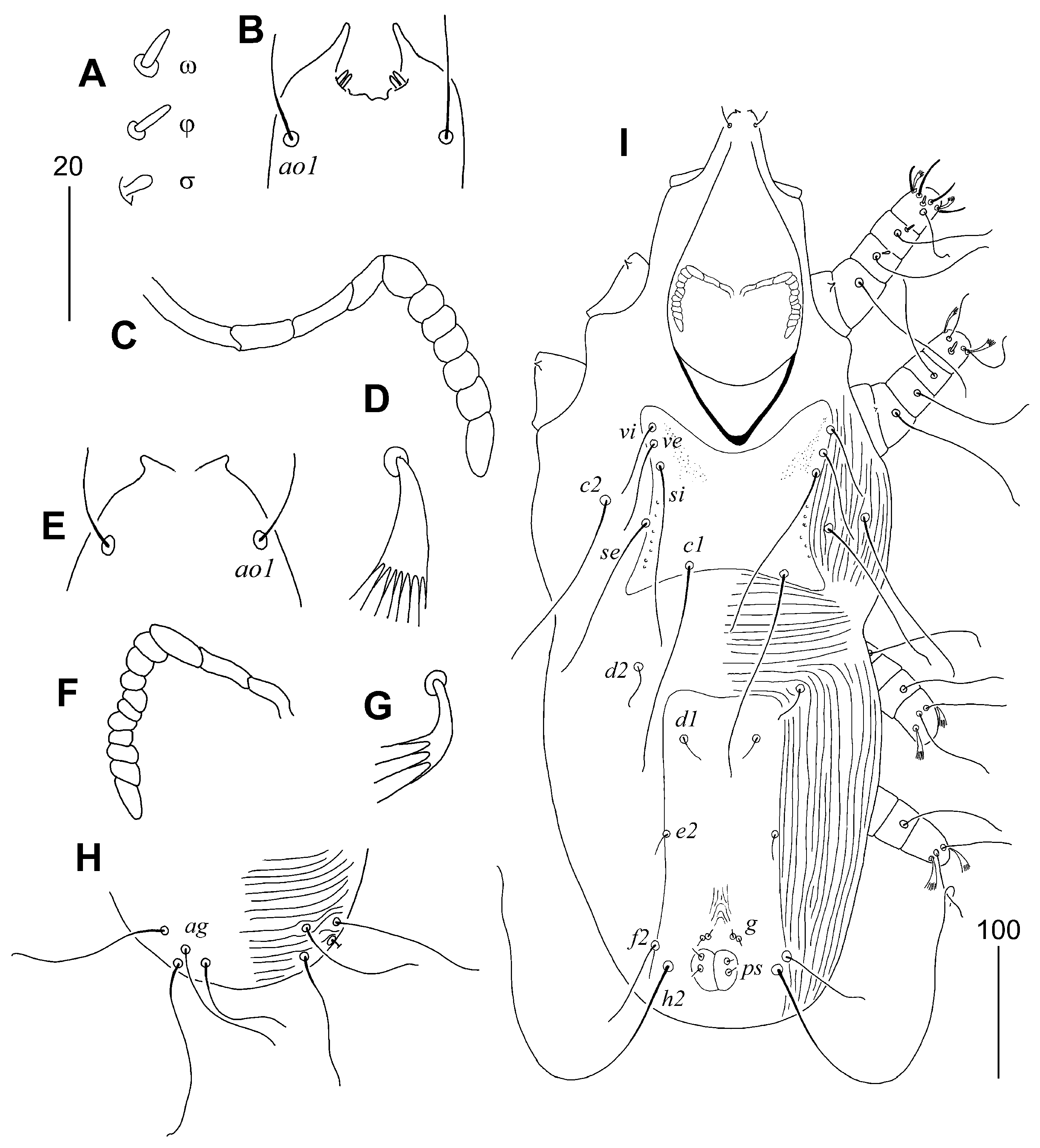 Animals 15 03227 g006 Animals 15 03227 g006