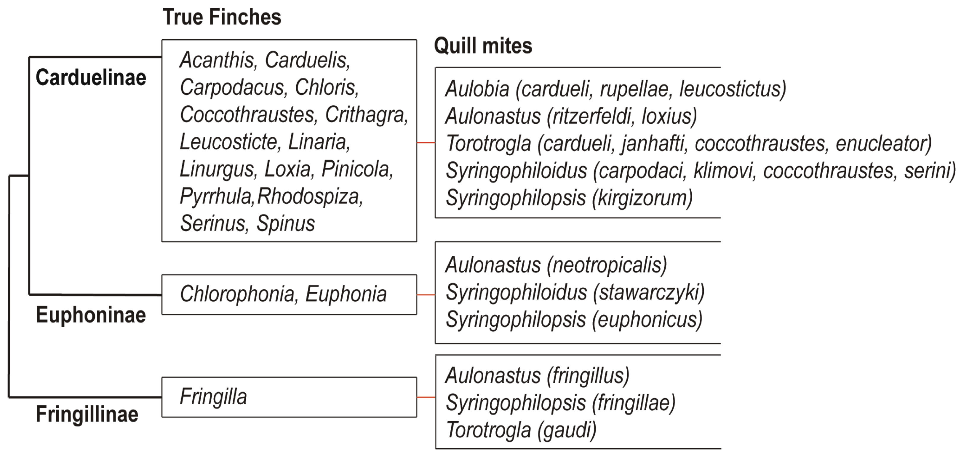 Animals 15 03227 g008 Animals 15 03227 g008
