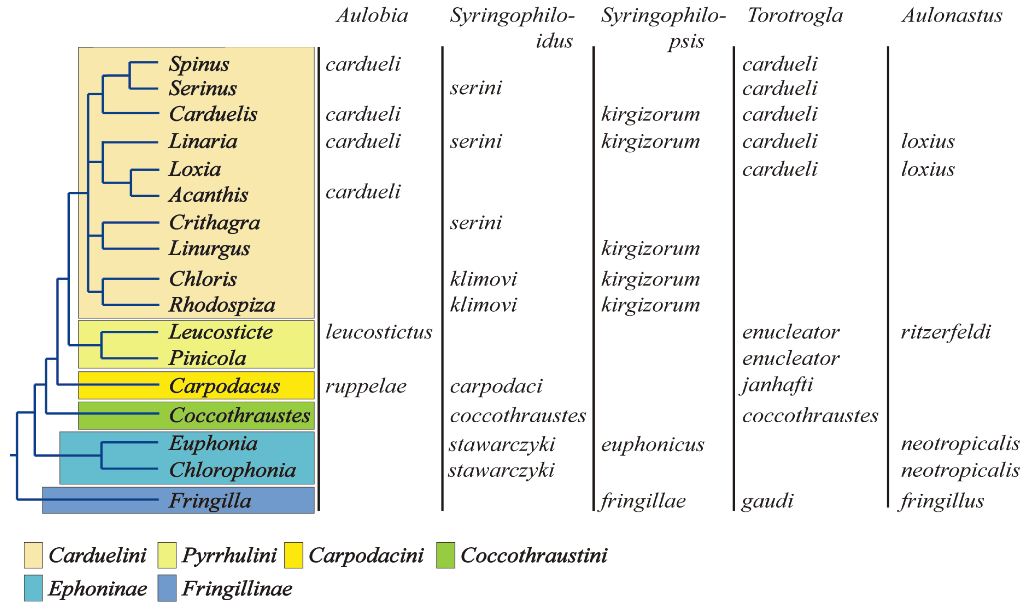 Animals 15 03227 g009 Animals 15 03227 g009