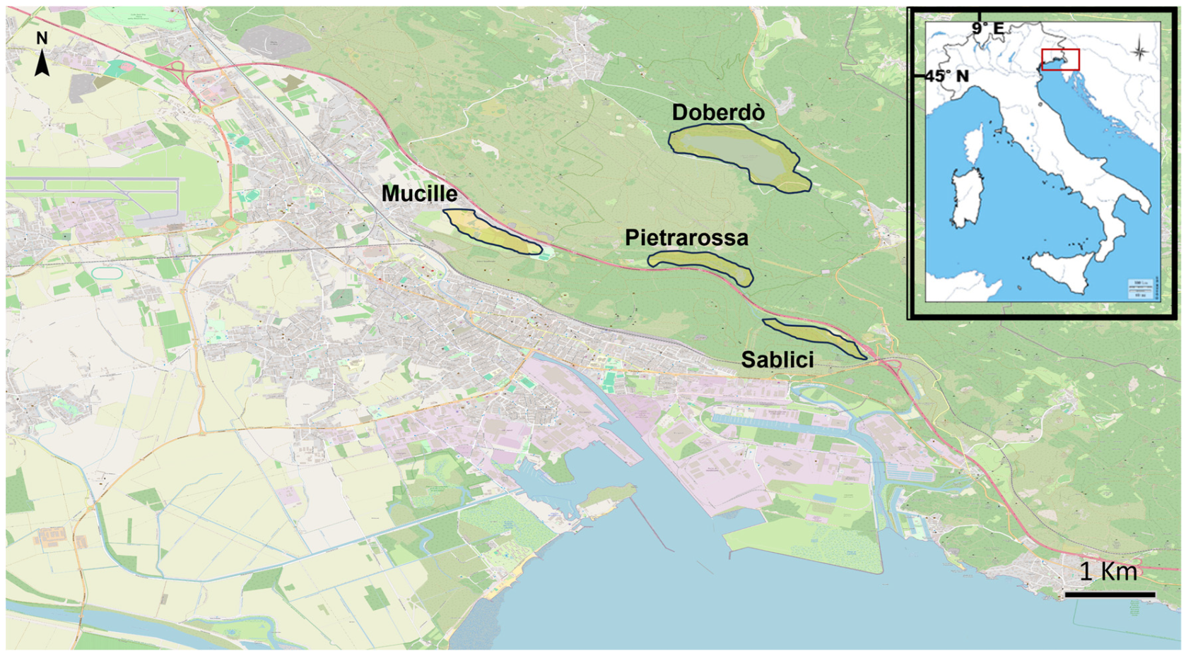 Animals 15 03228 g001