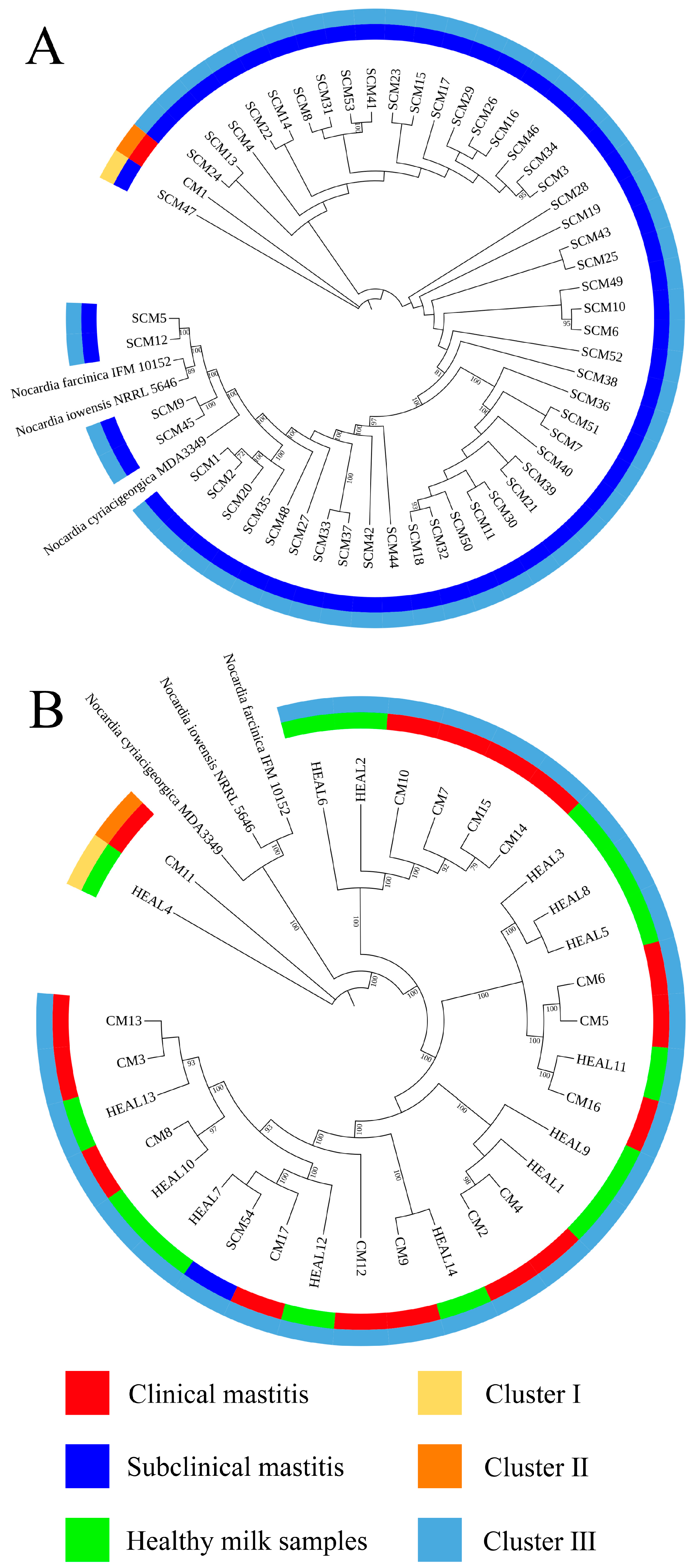 Animals 15 03229 g001