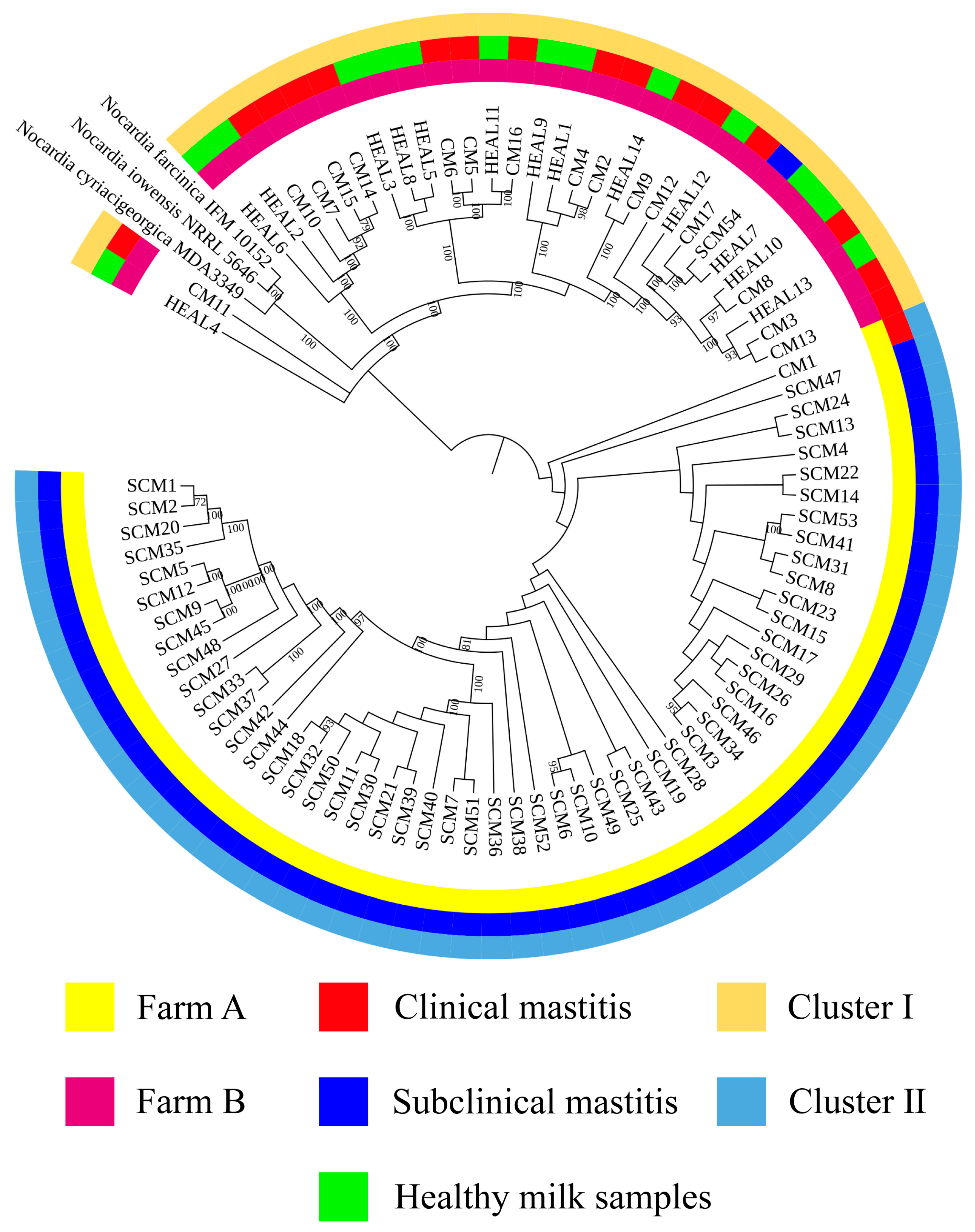 Animals 15 03229 g002