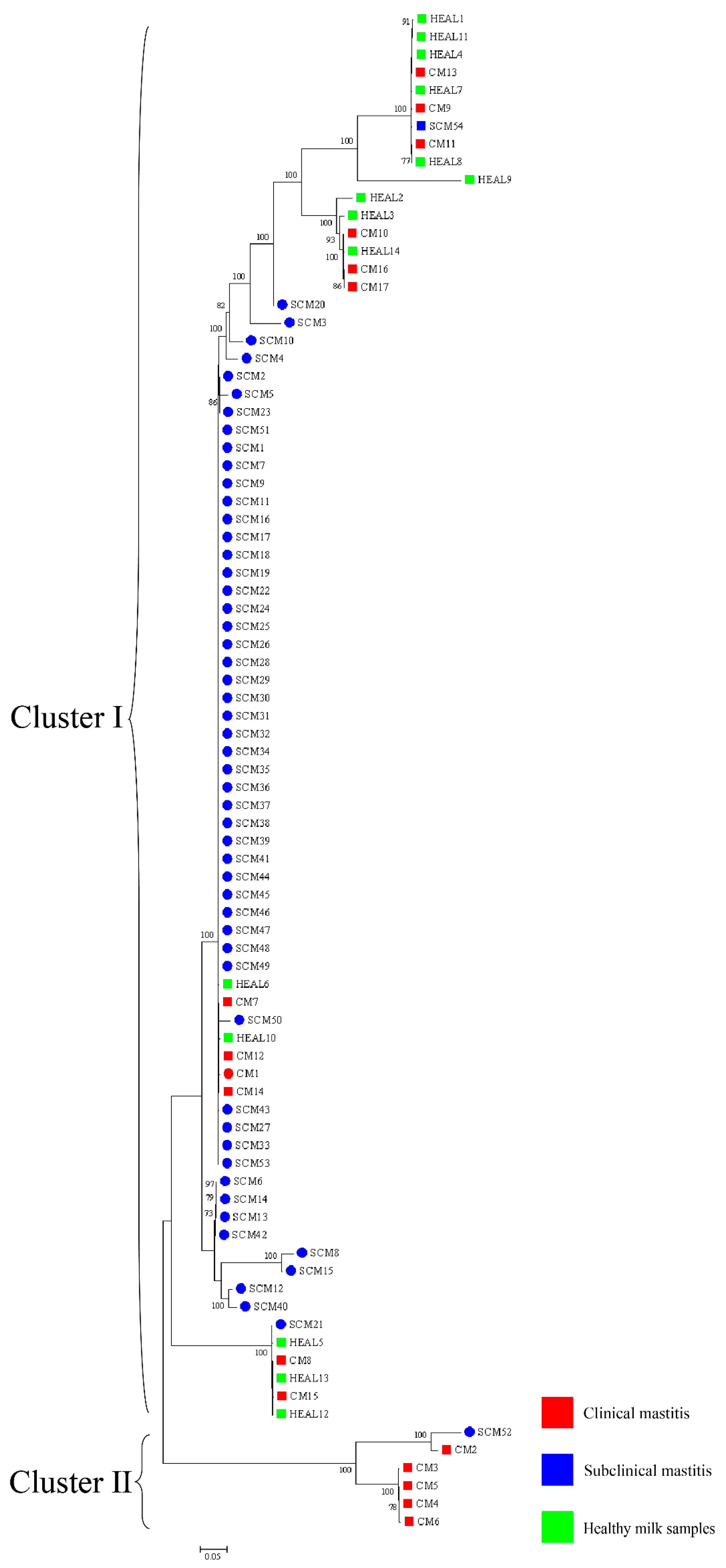 Animals 15 03229 g003