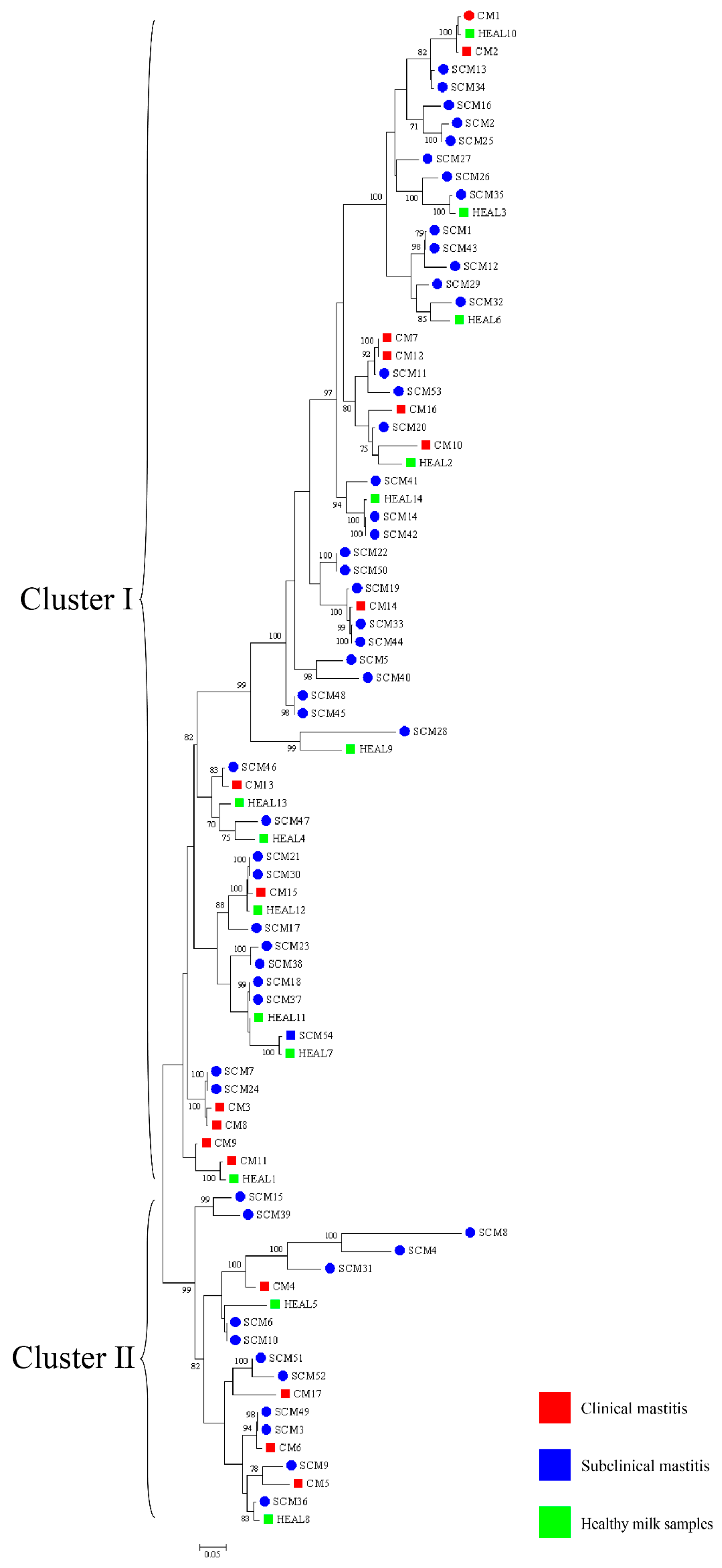 Animals 15 03229 g005