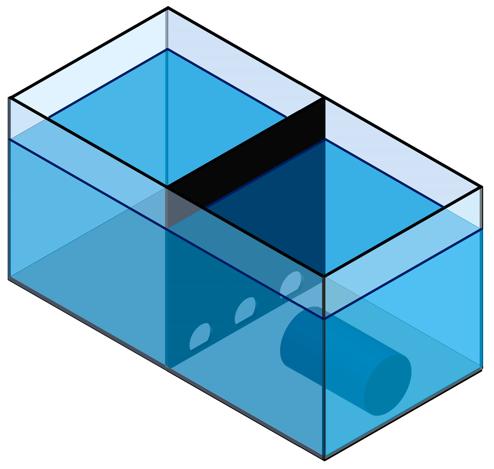 Animals 15 03231 g001