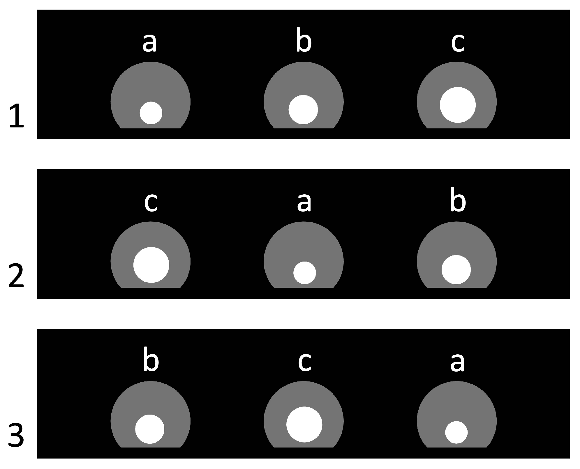 Animals 15 03231 g003