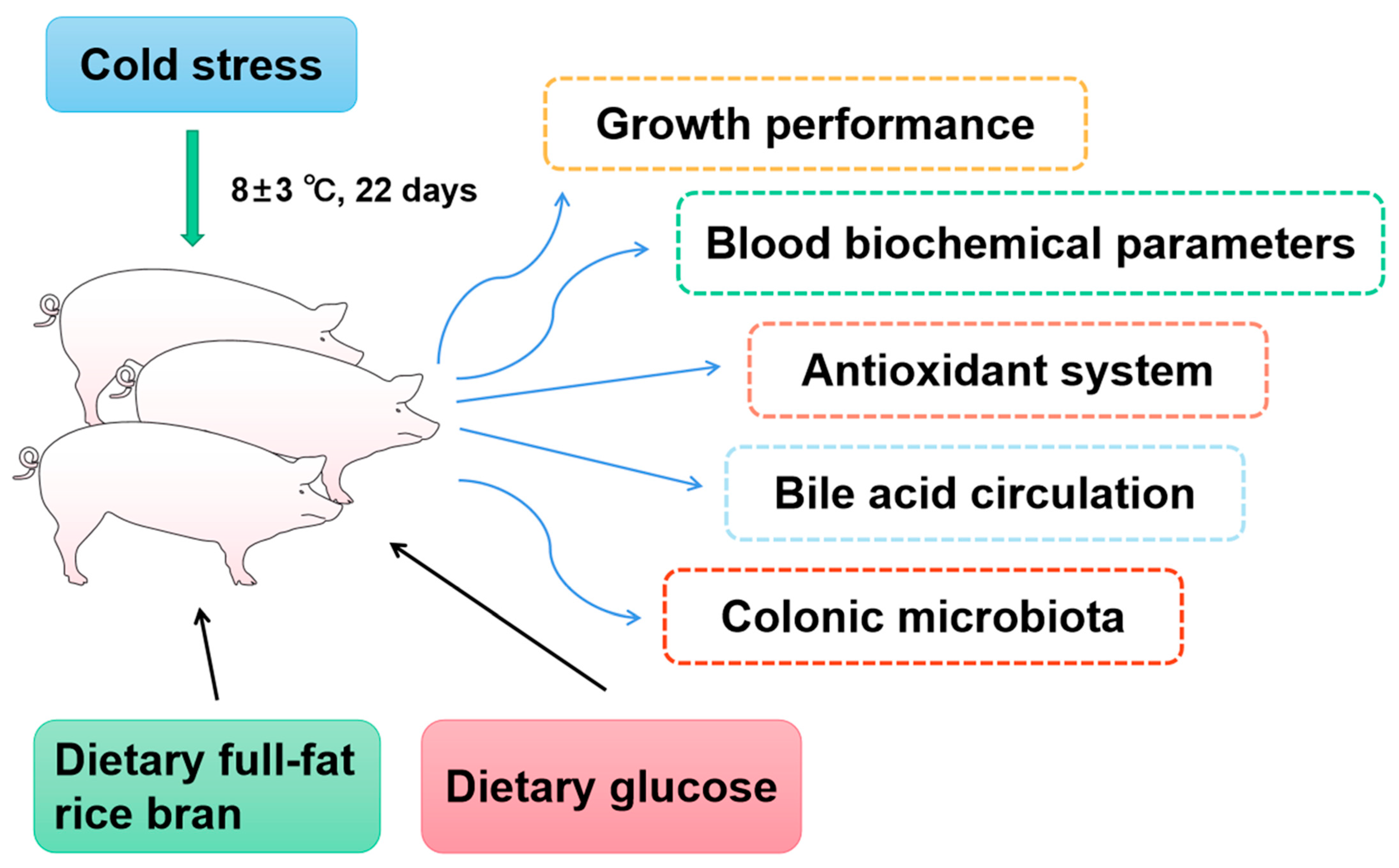 Animals 15 03232 g001