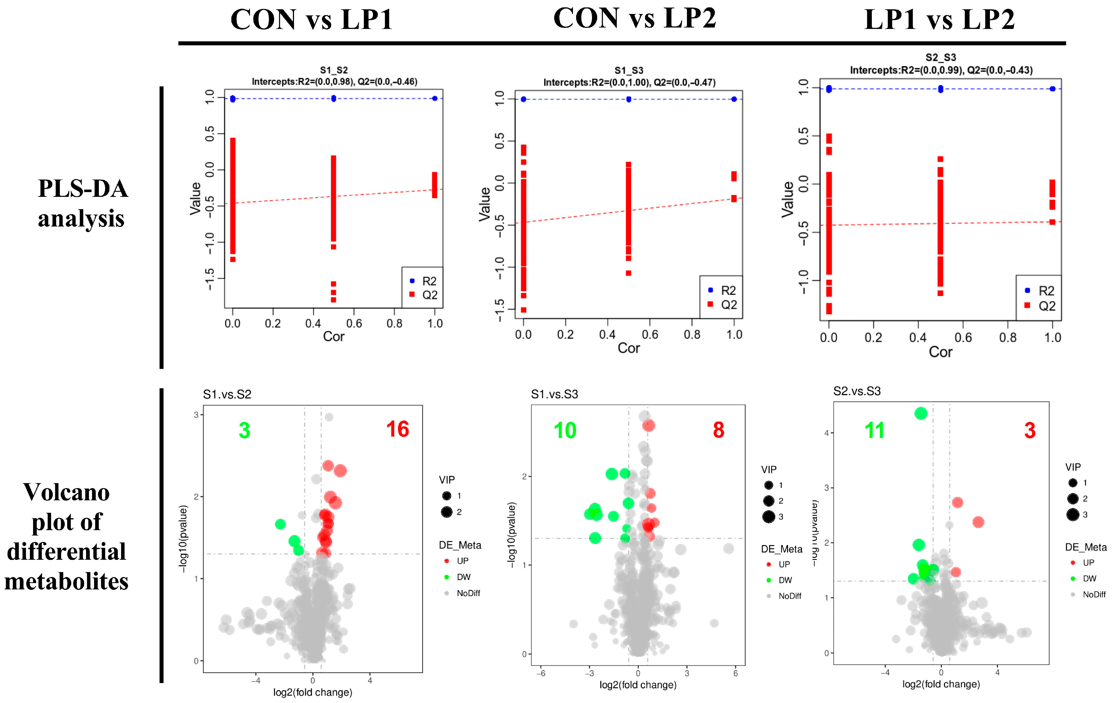 Animals 15 03234 g003