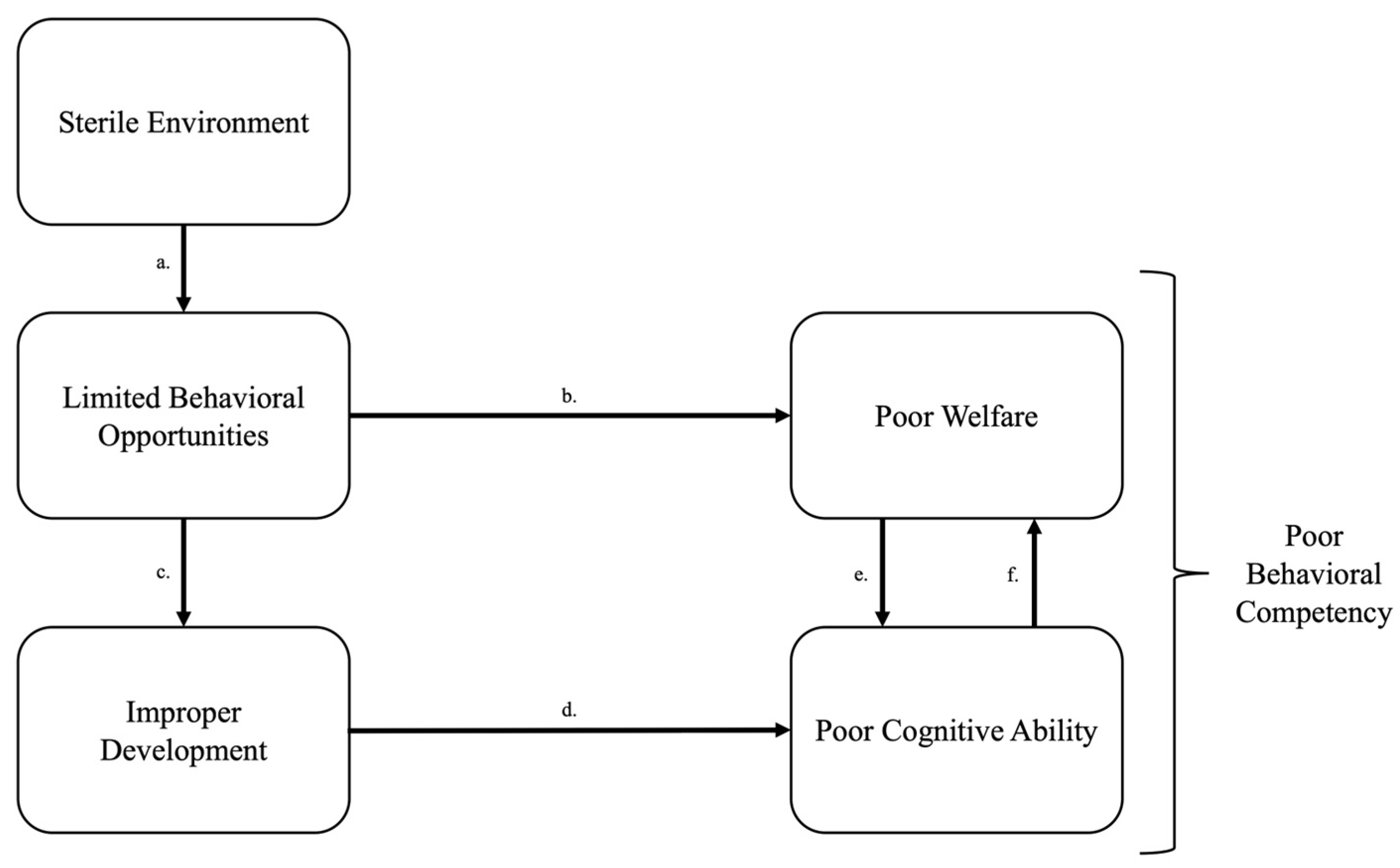 Animals 15 03237 g001