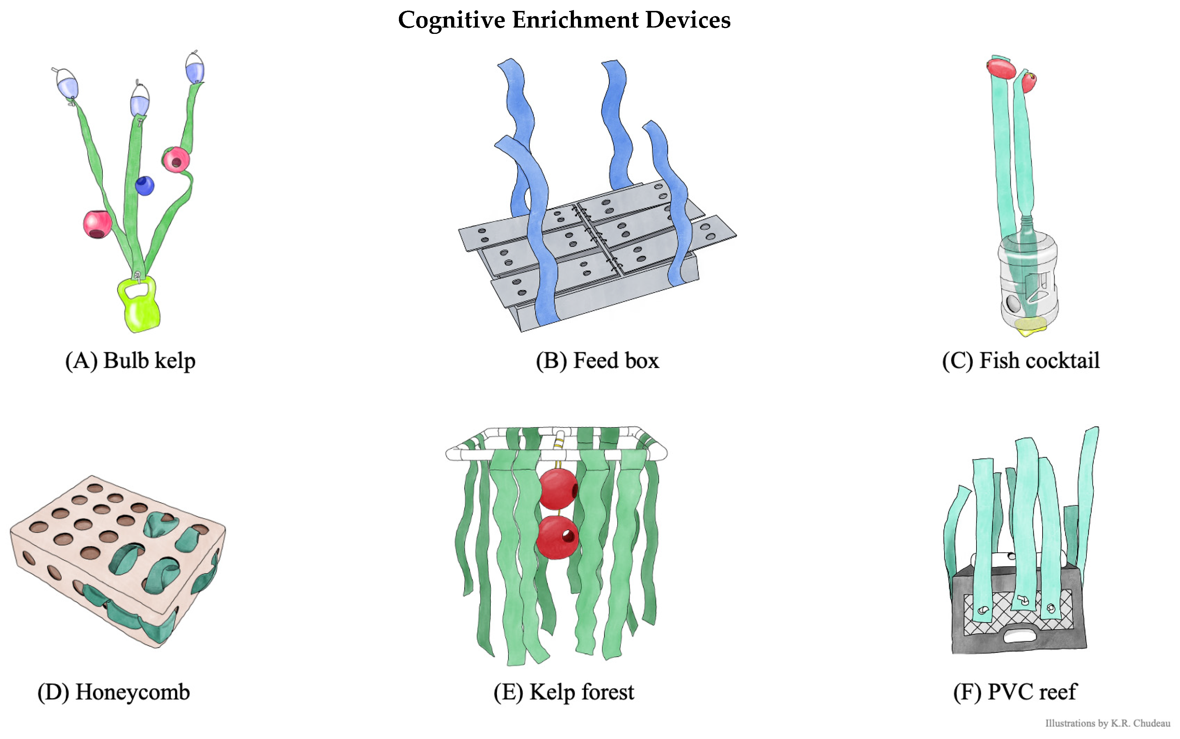 Animals 15 03237 g003