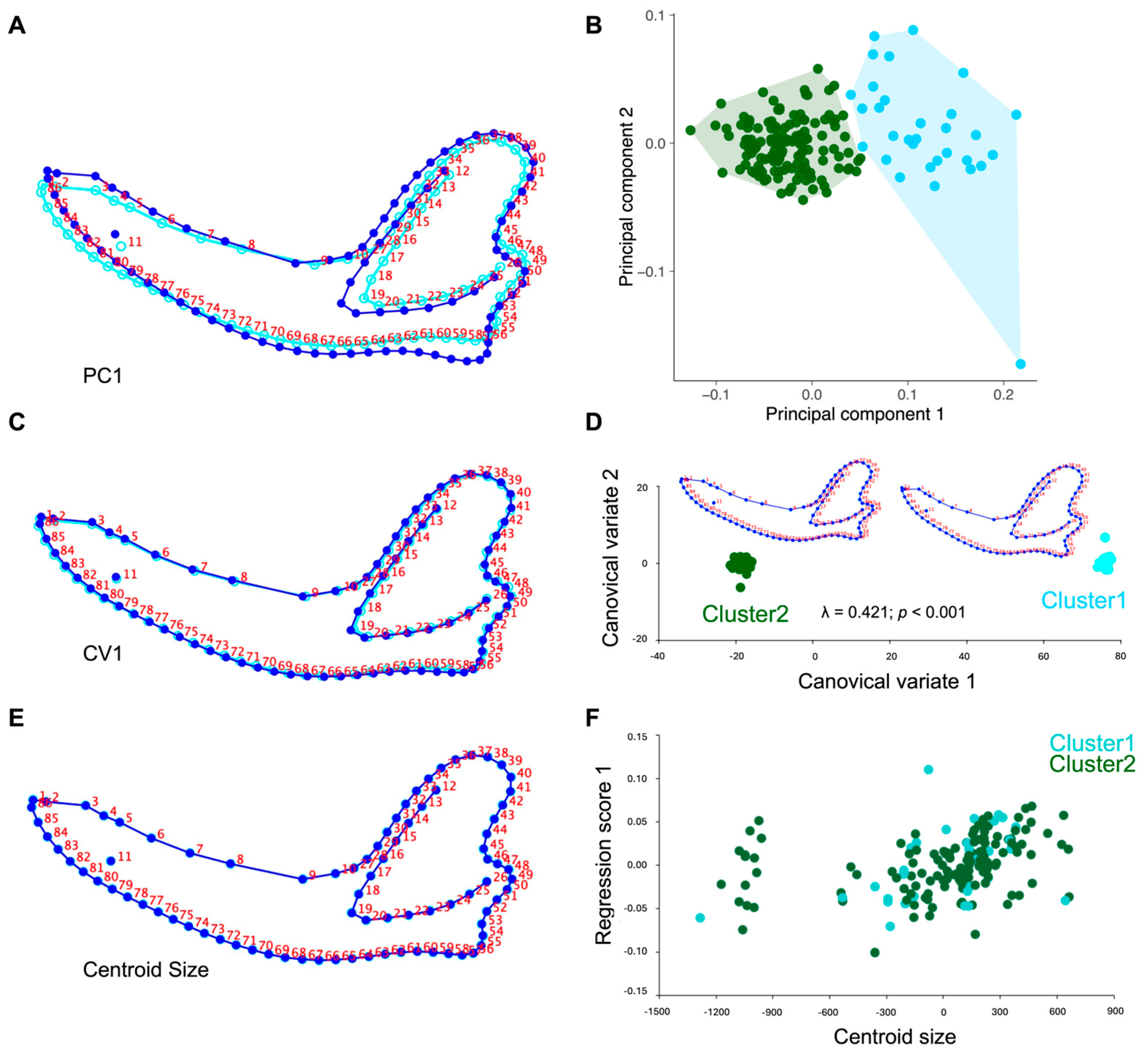 Animals 15 03244 g002 Animals 15 03244 g002