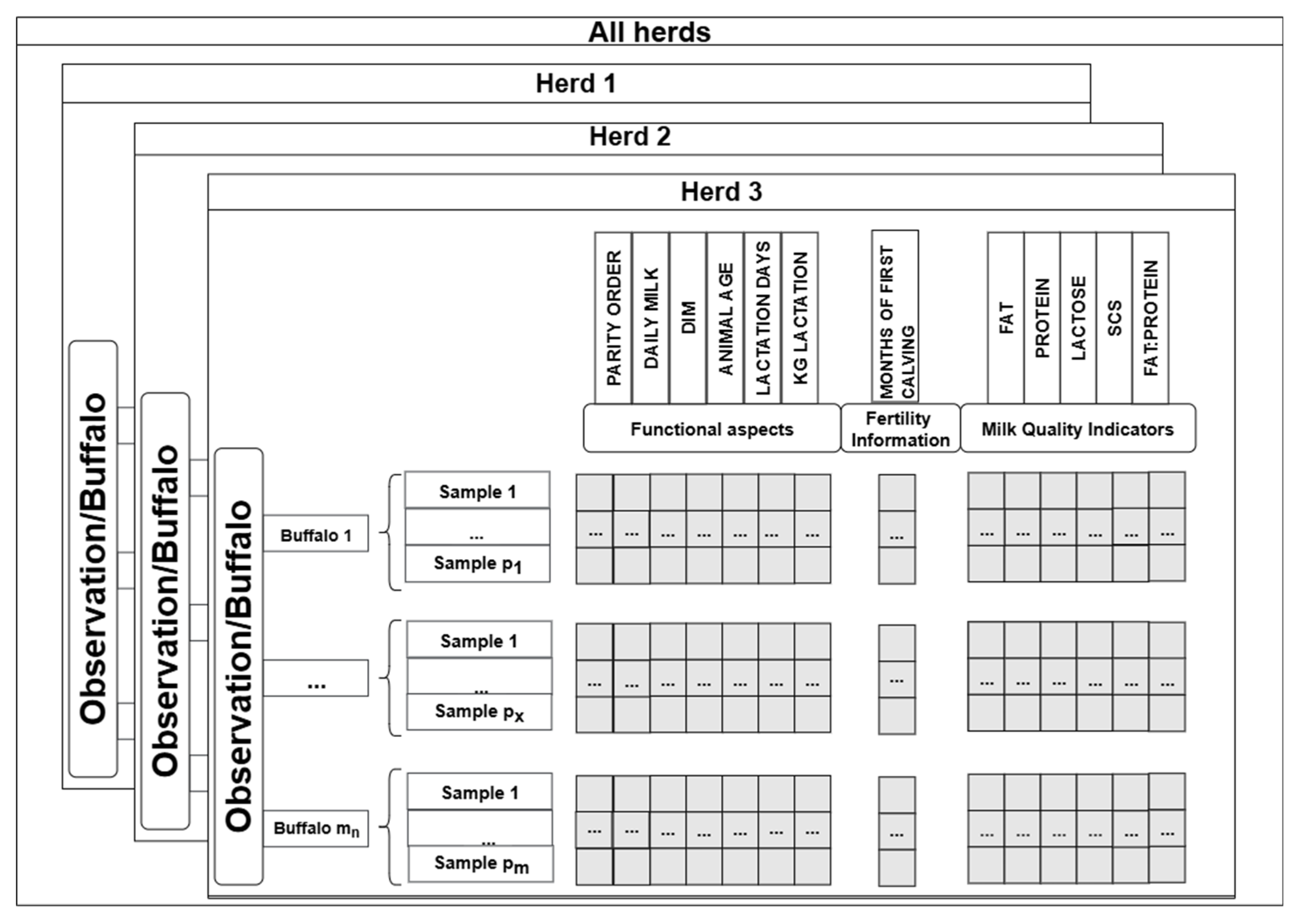 Animals 15 03246 g001