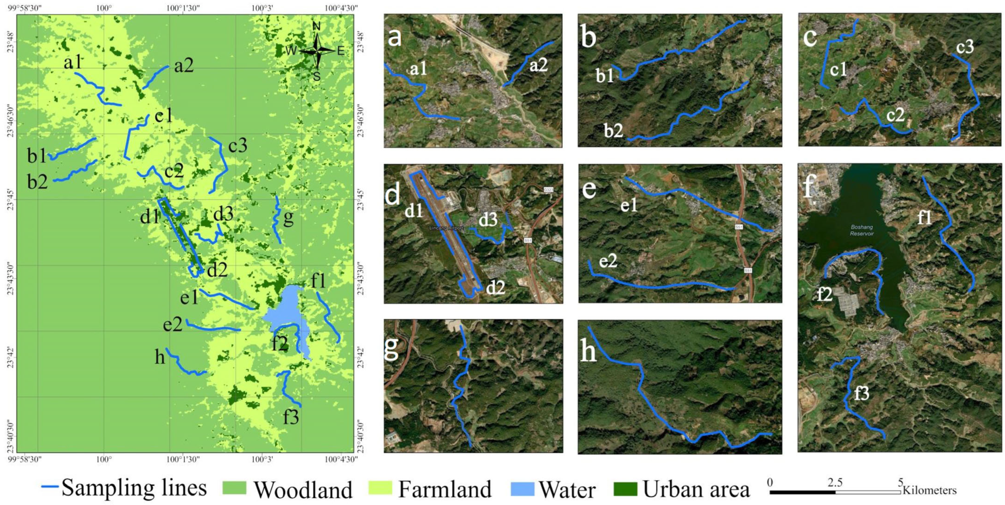 Animals 15 03250 g001