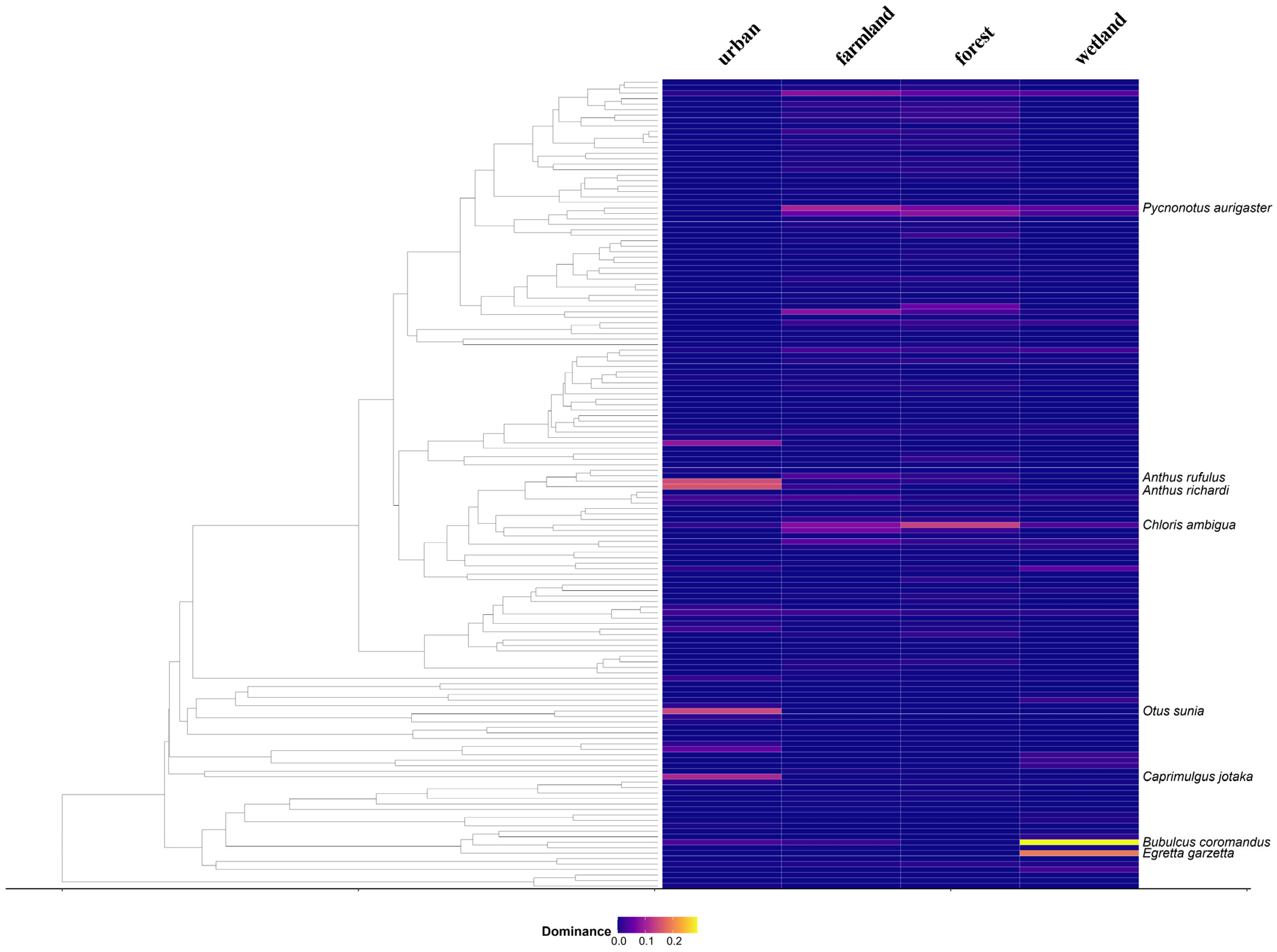 Animals 15 03250 g004