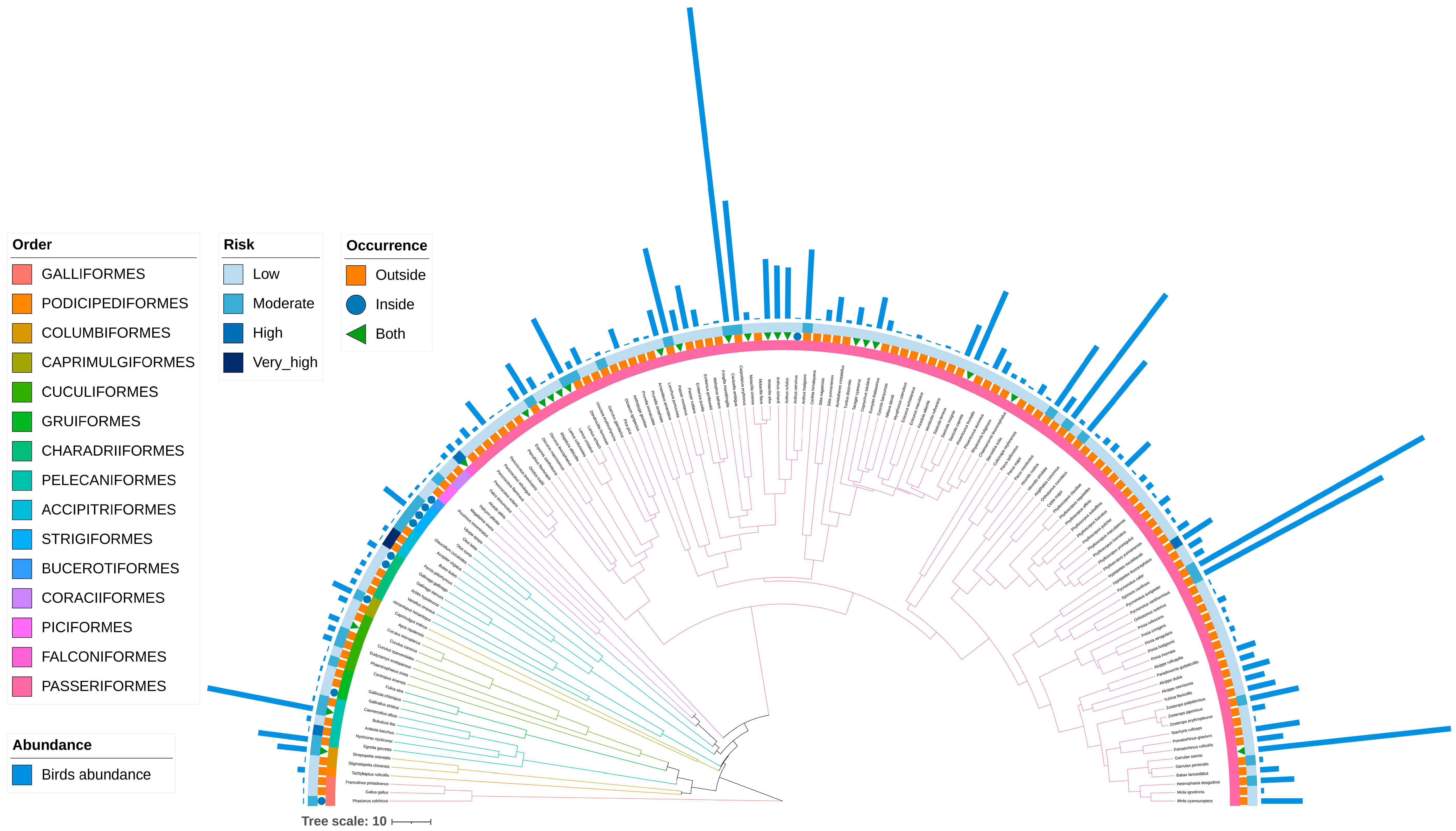 Animals 15 03250 g008