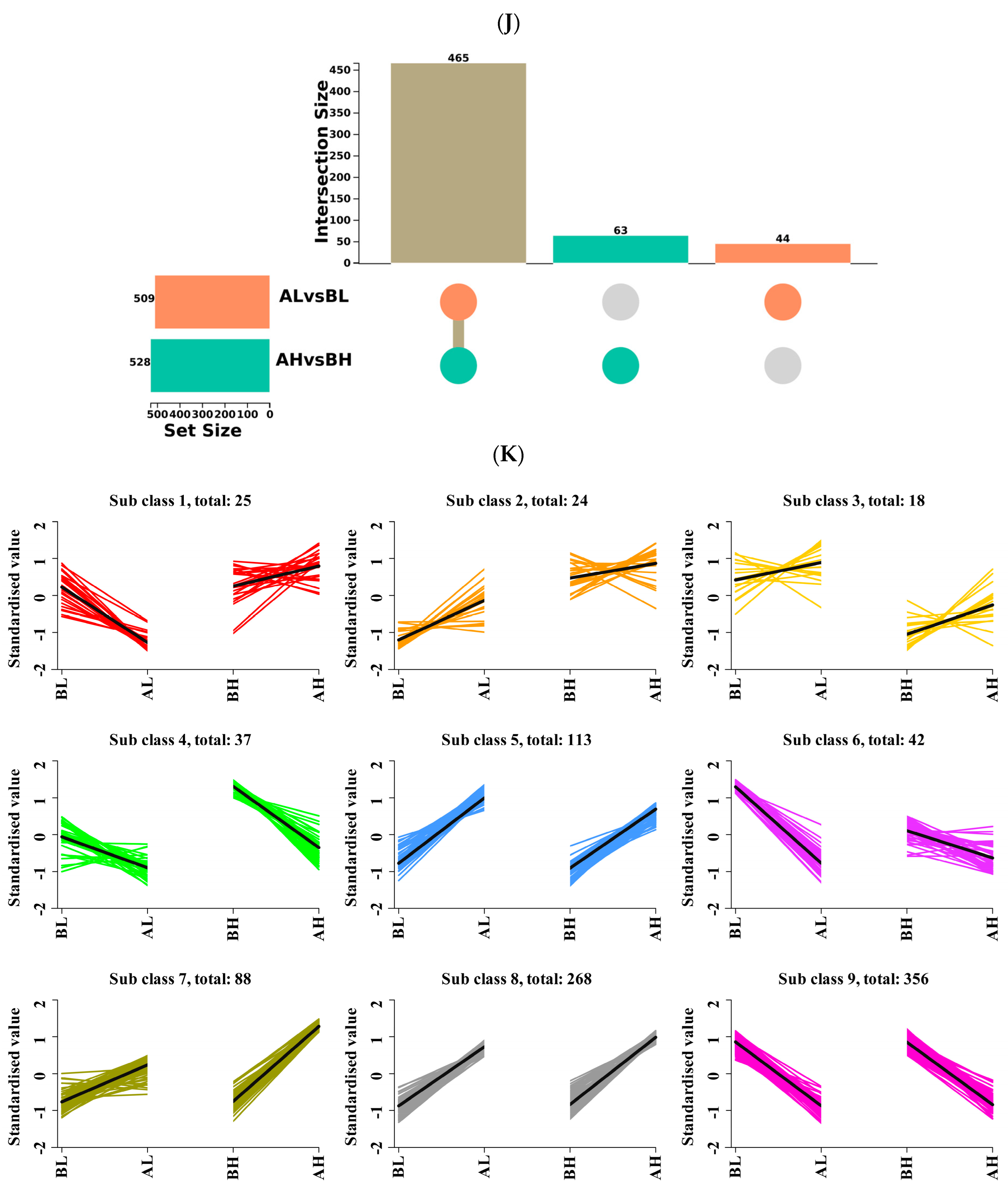 Animals 15 03251 g002c