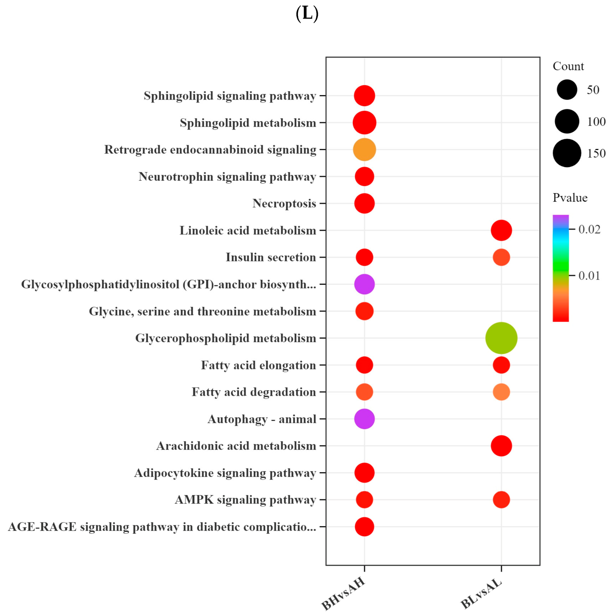 Animals 15 03251 g002d