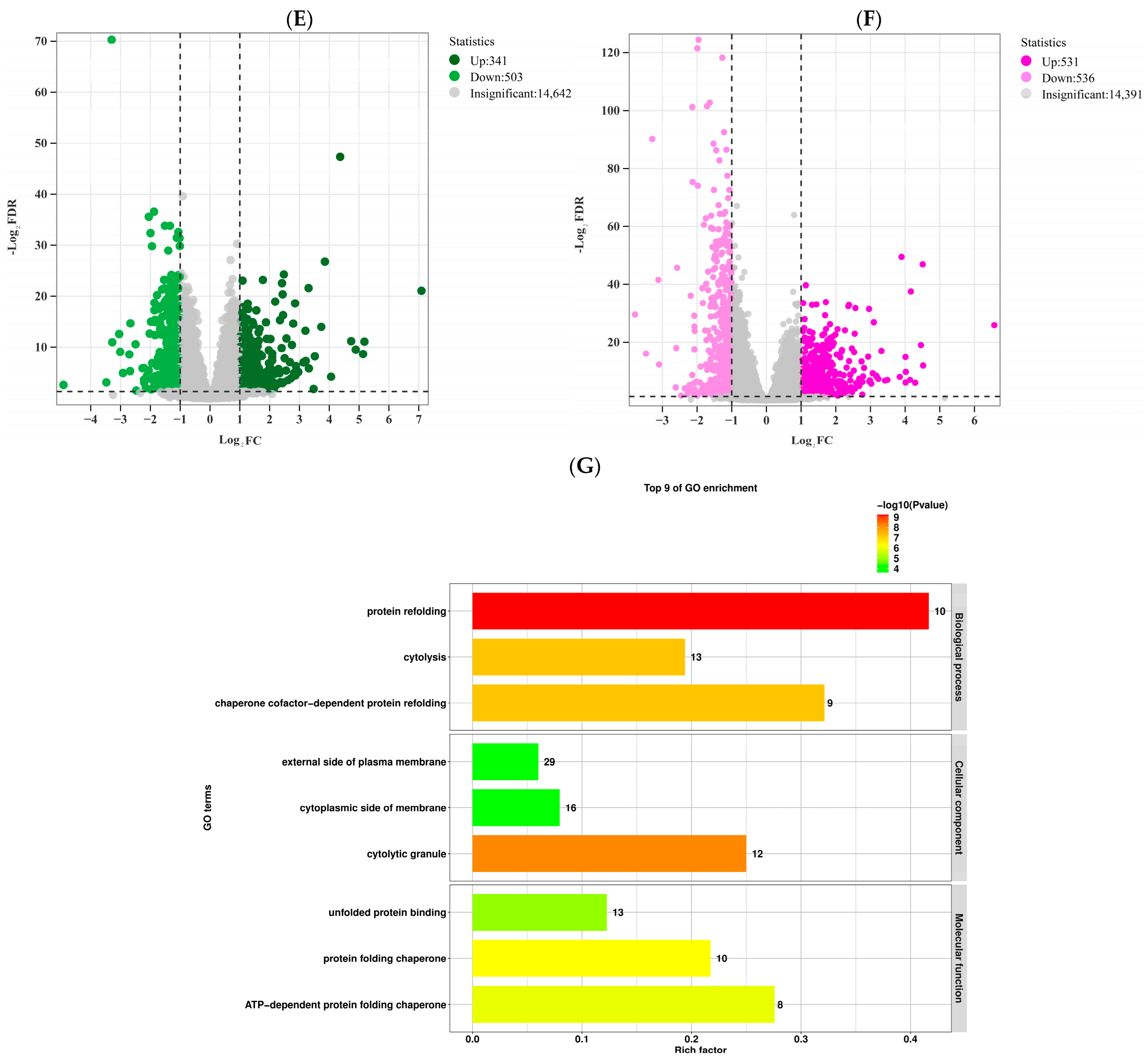 Animals 15 03251 g003b