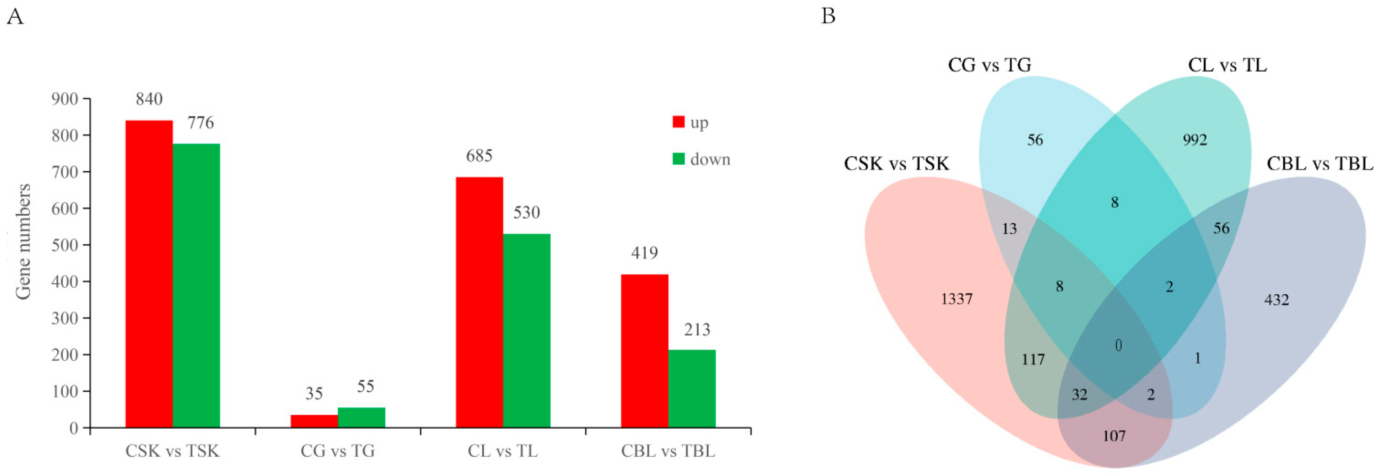Animals 15 03257 g004