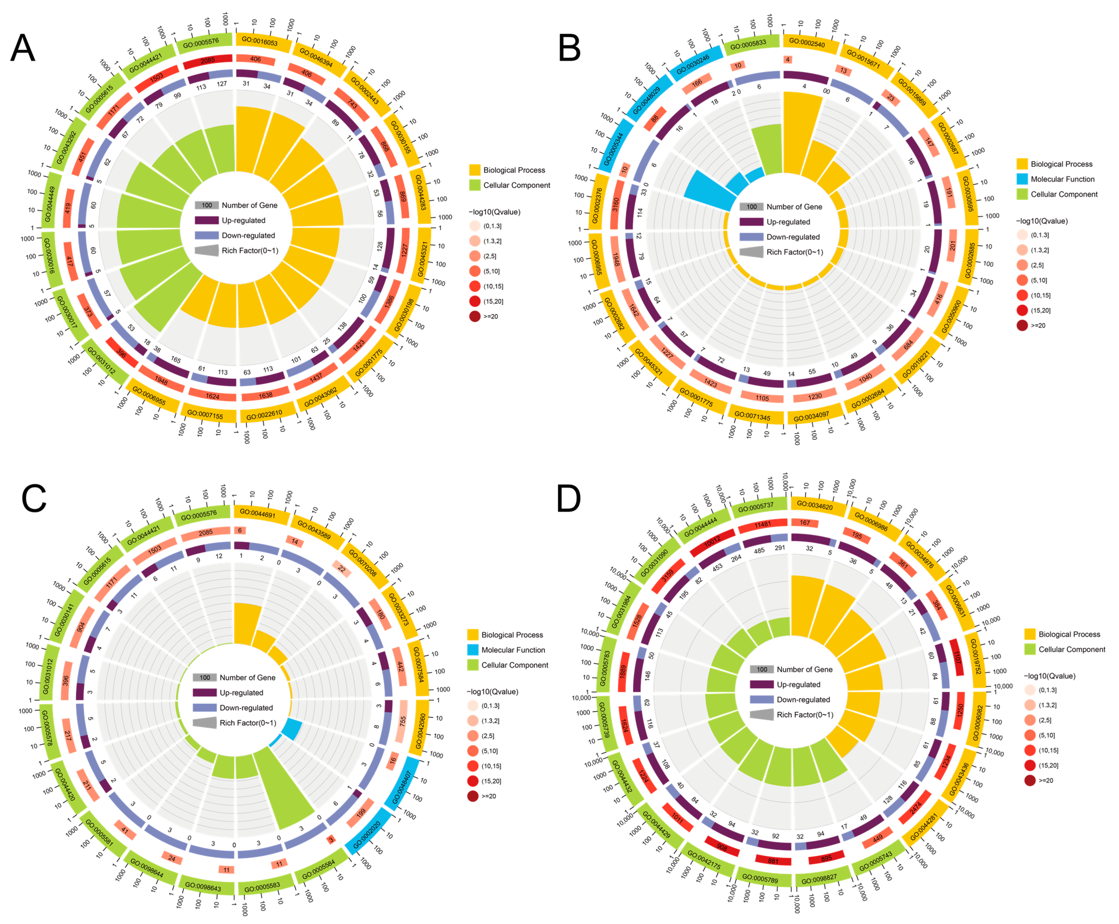 Animals 15 03257 g005