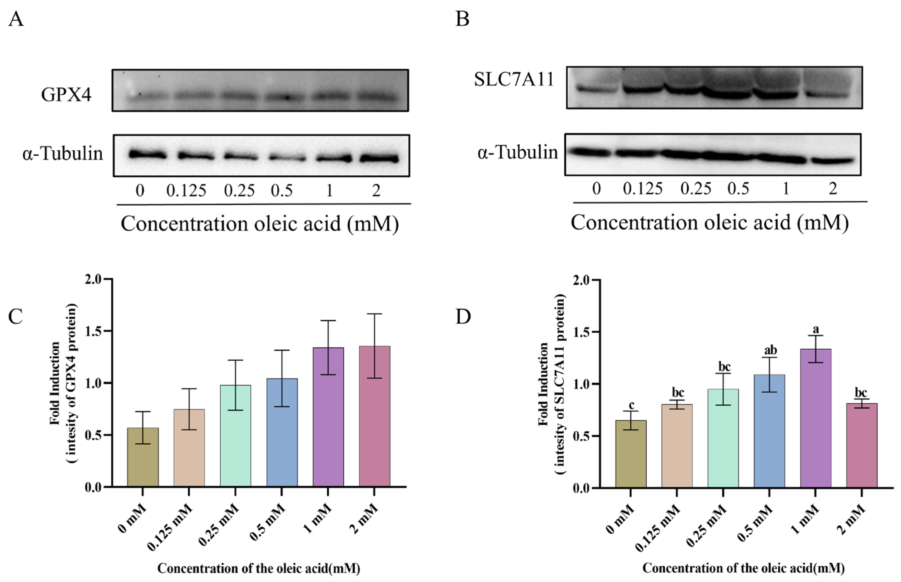 Animals 15 03258 g005 Animals 15 03258 g005