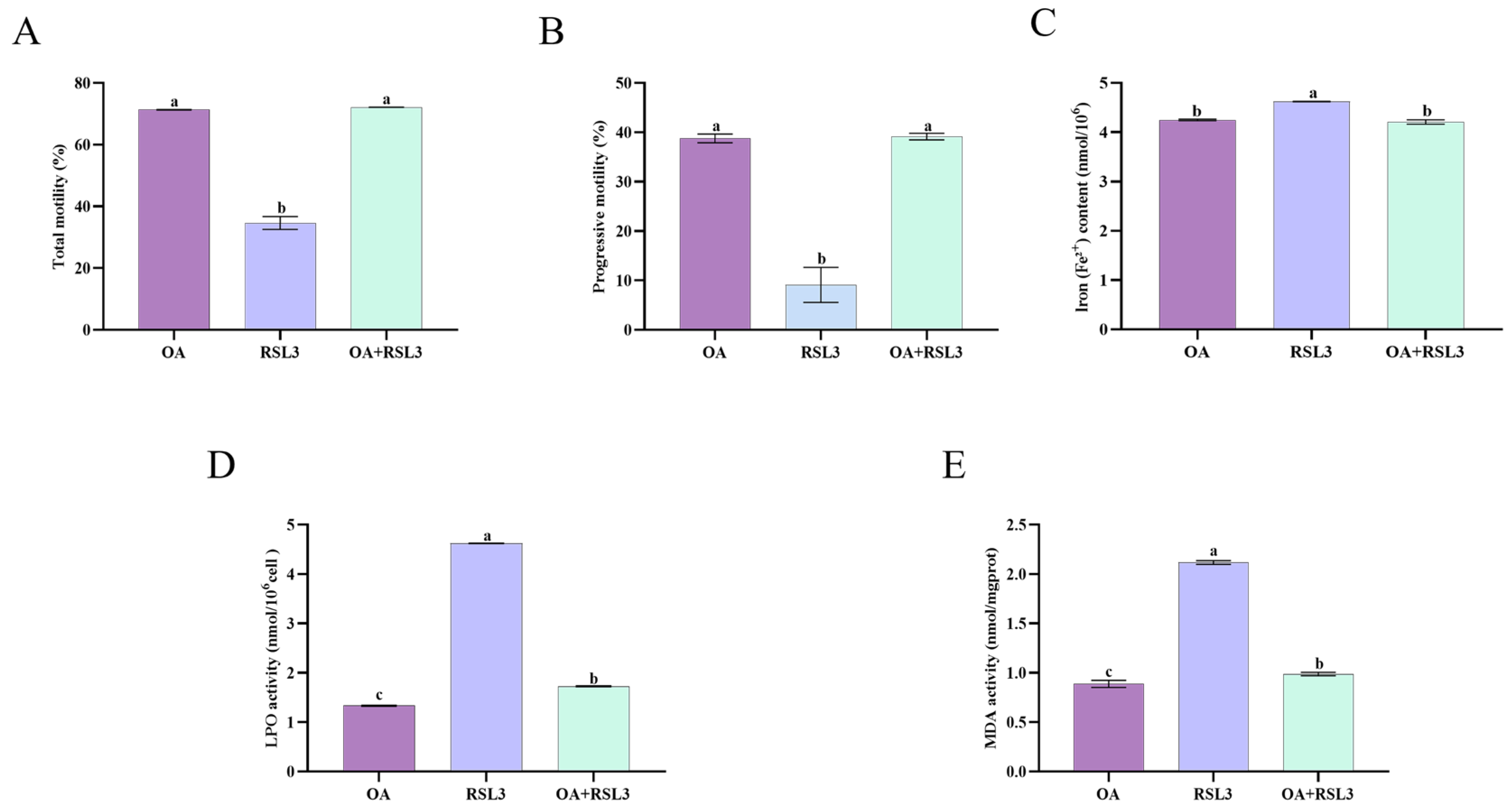 Animals 15 03258 g006 Animals 15 03258 g006